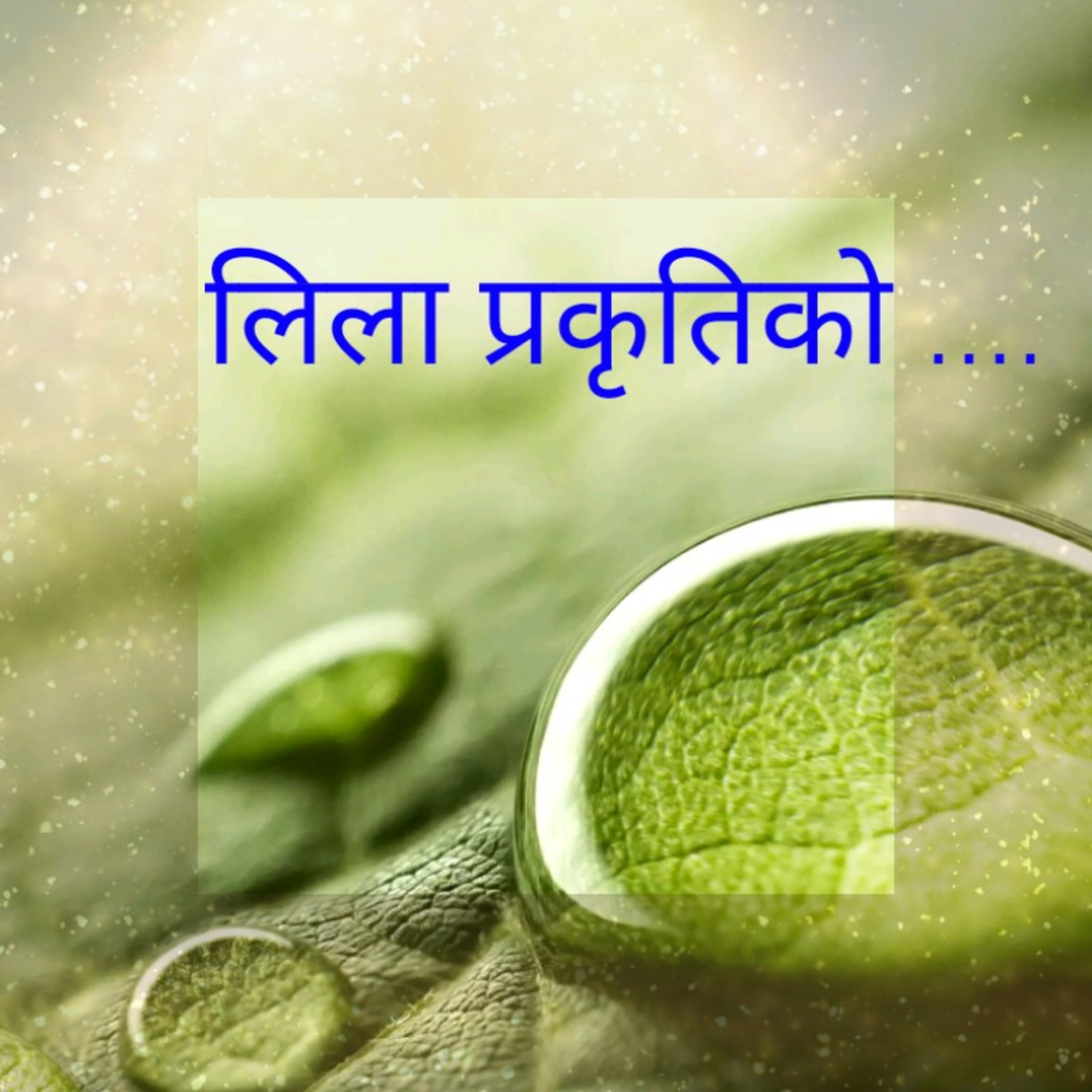 लिला प्रकृतिको ...