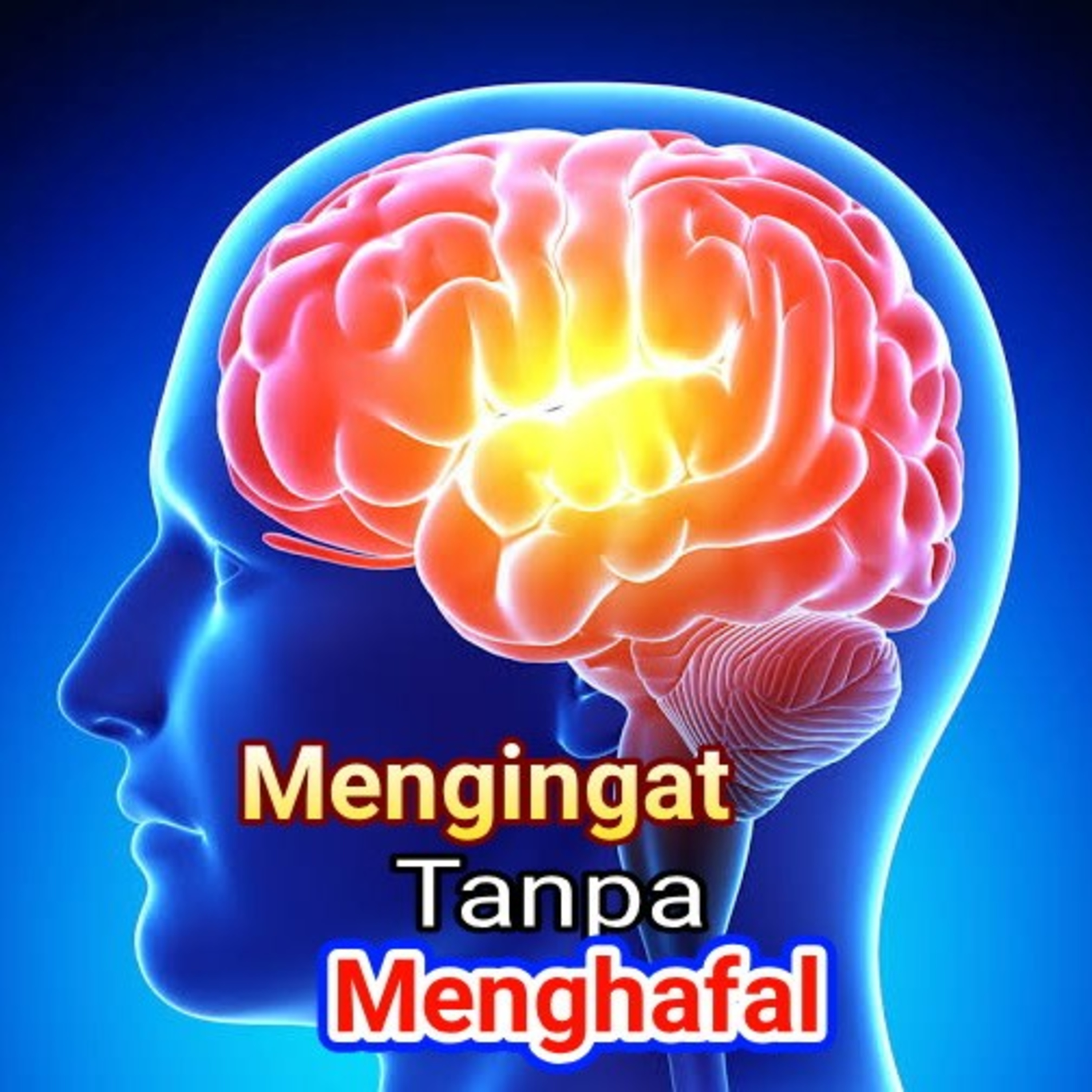 Eps 2: Cara Mengingat Tanpa Menghafal