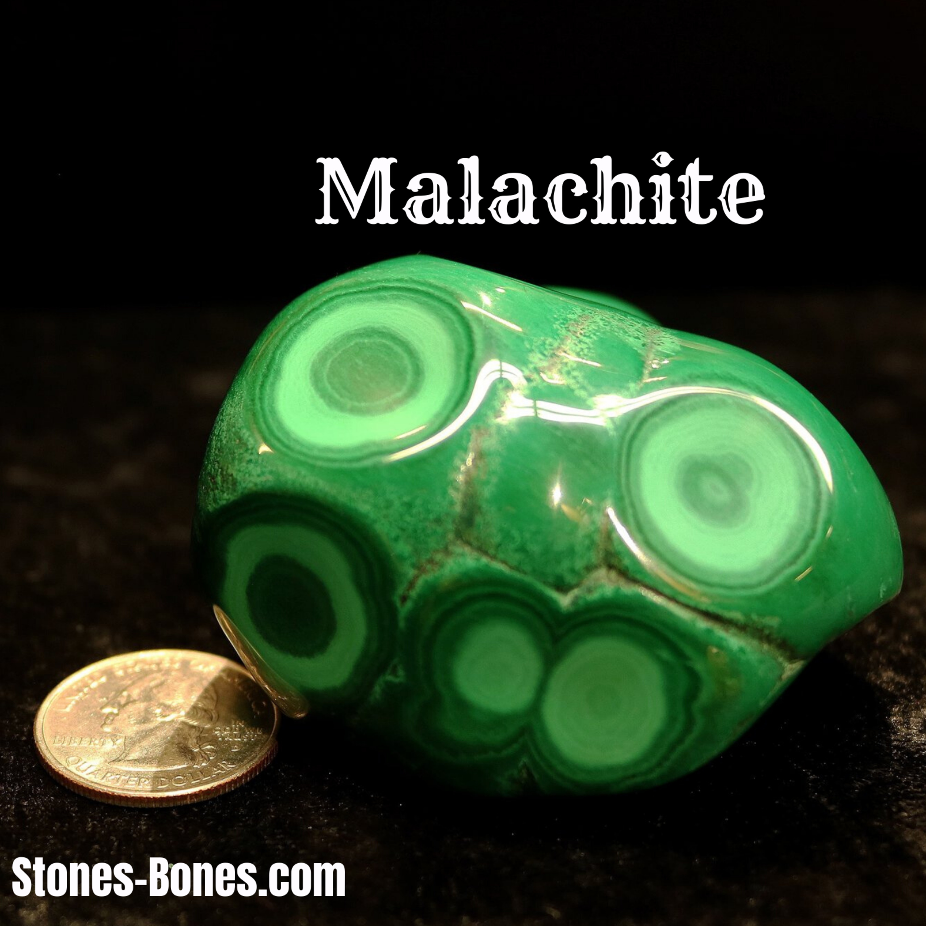 Stones and Bones