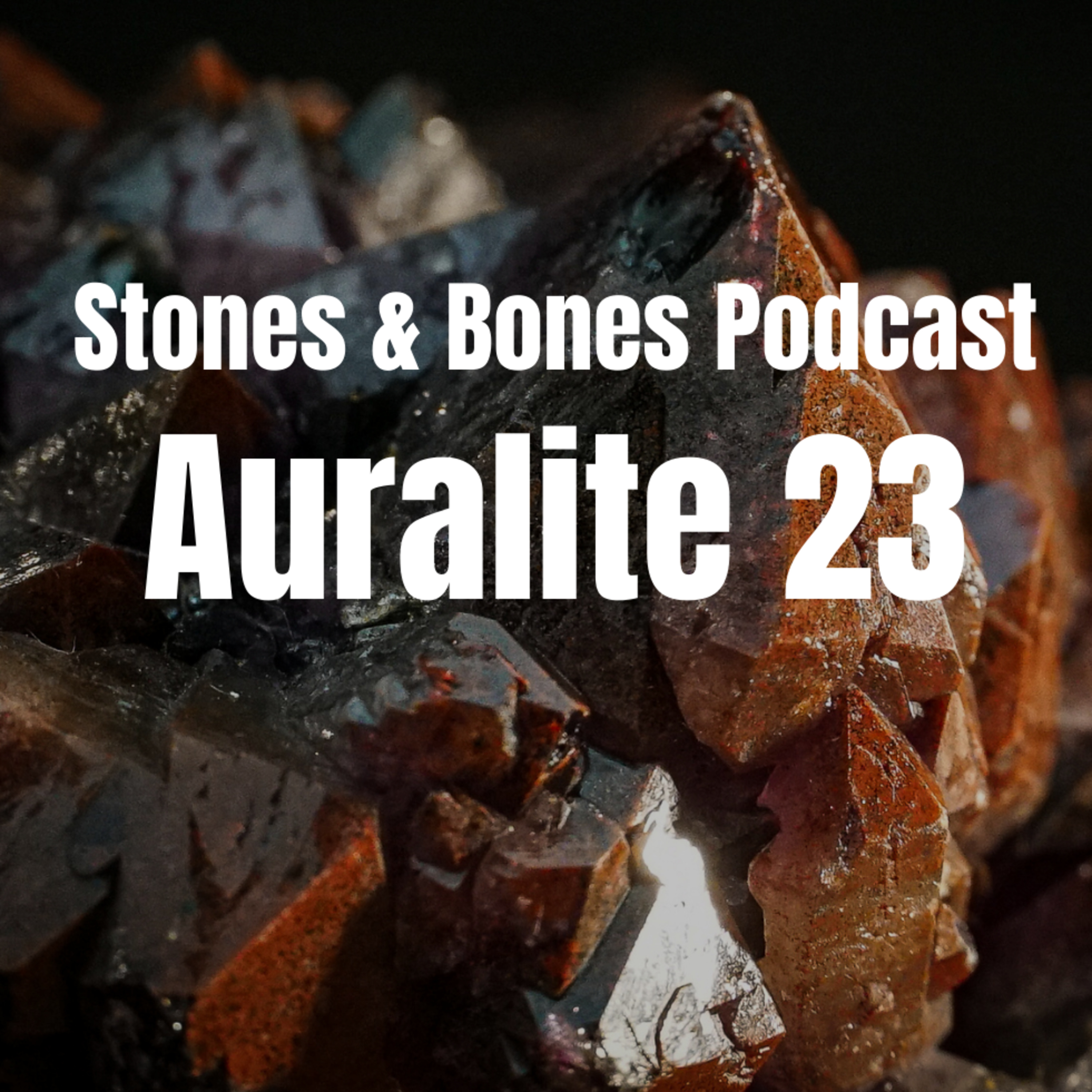 Stones and Bones