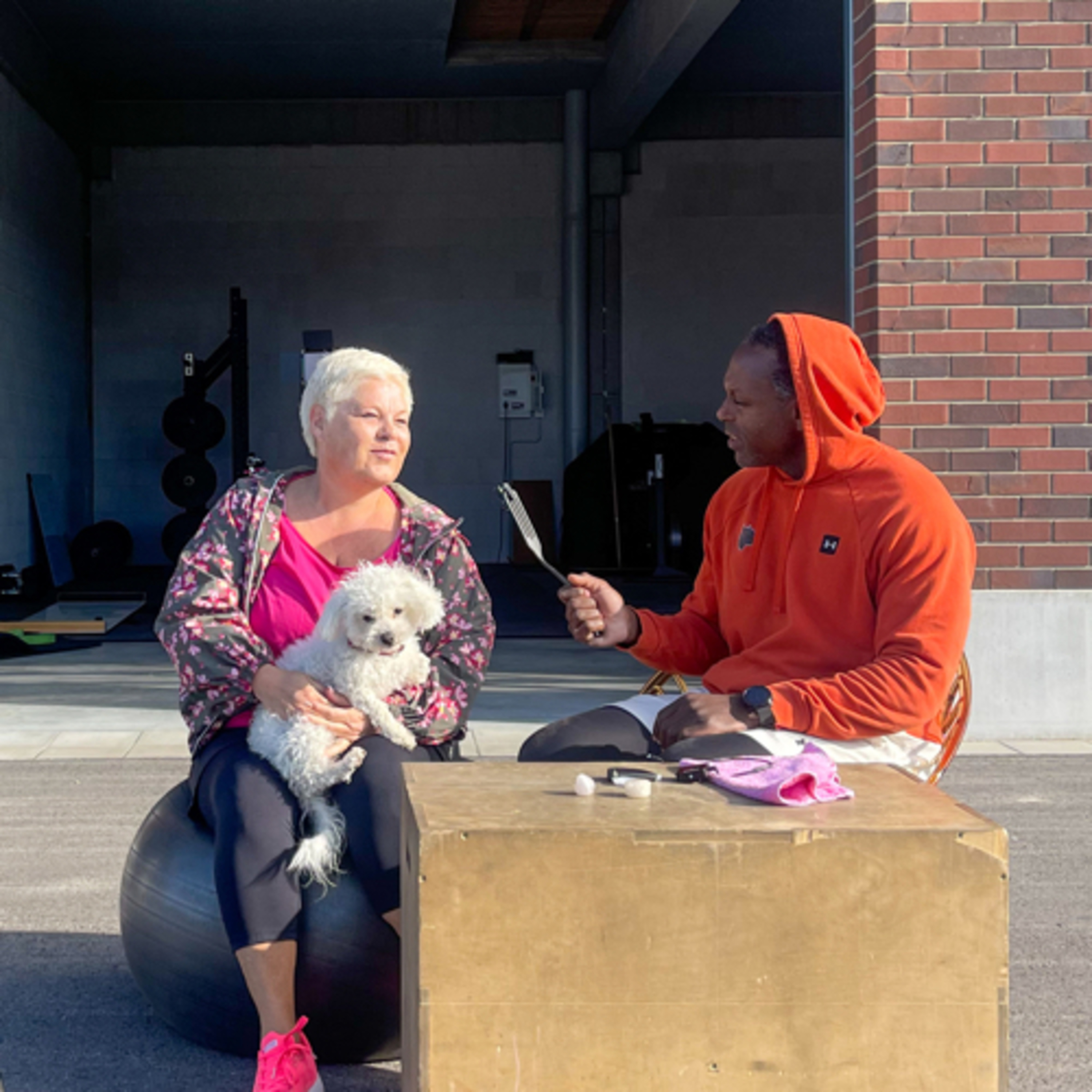 Welcome to the Jungle