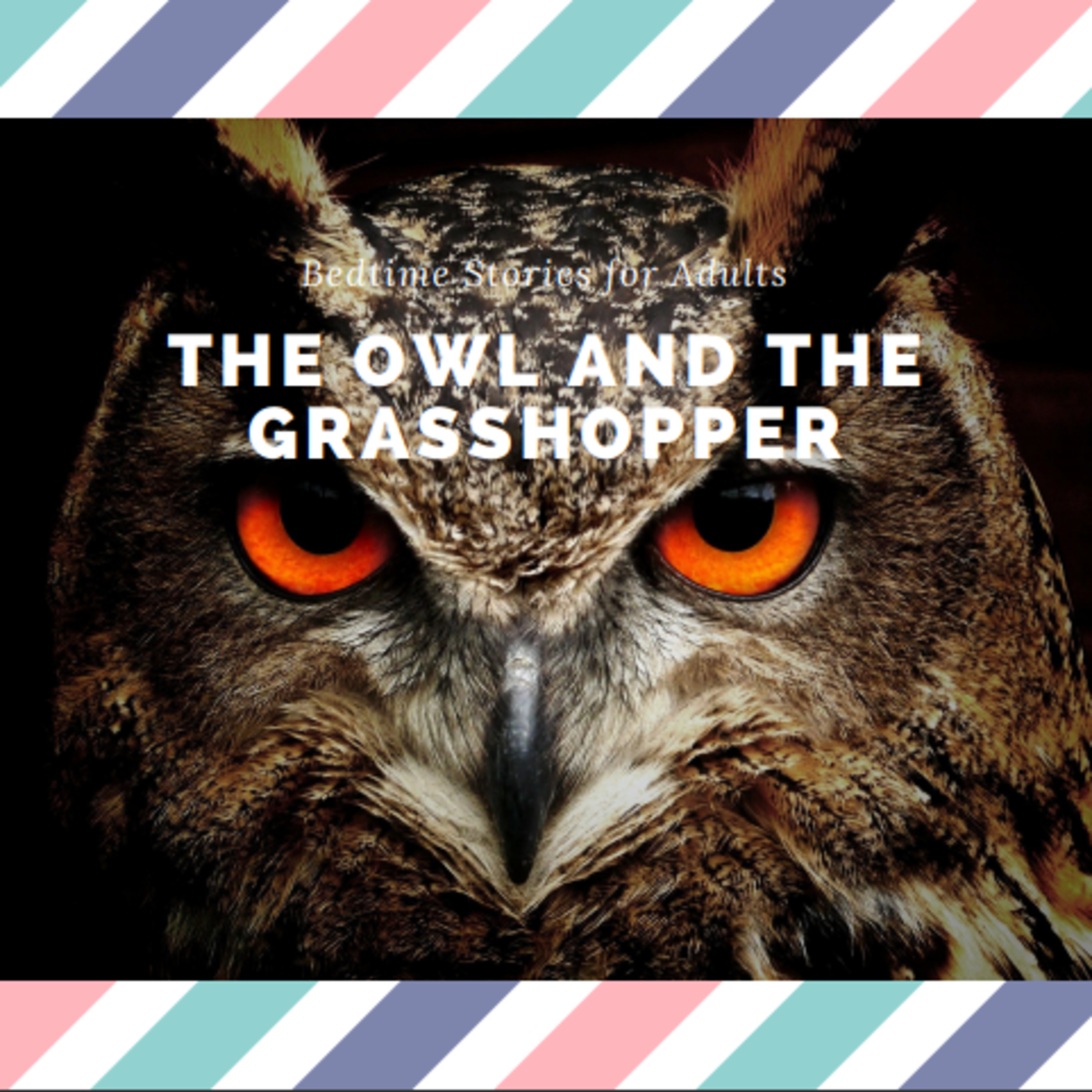 Beware of Flattery - The Owl and the Grasshopper