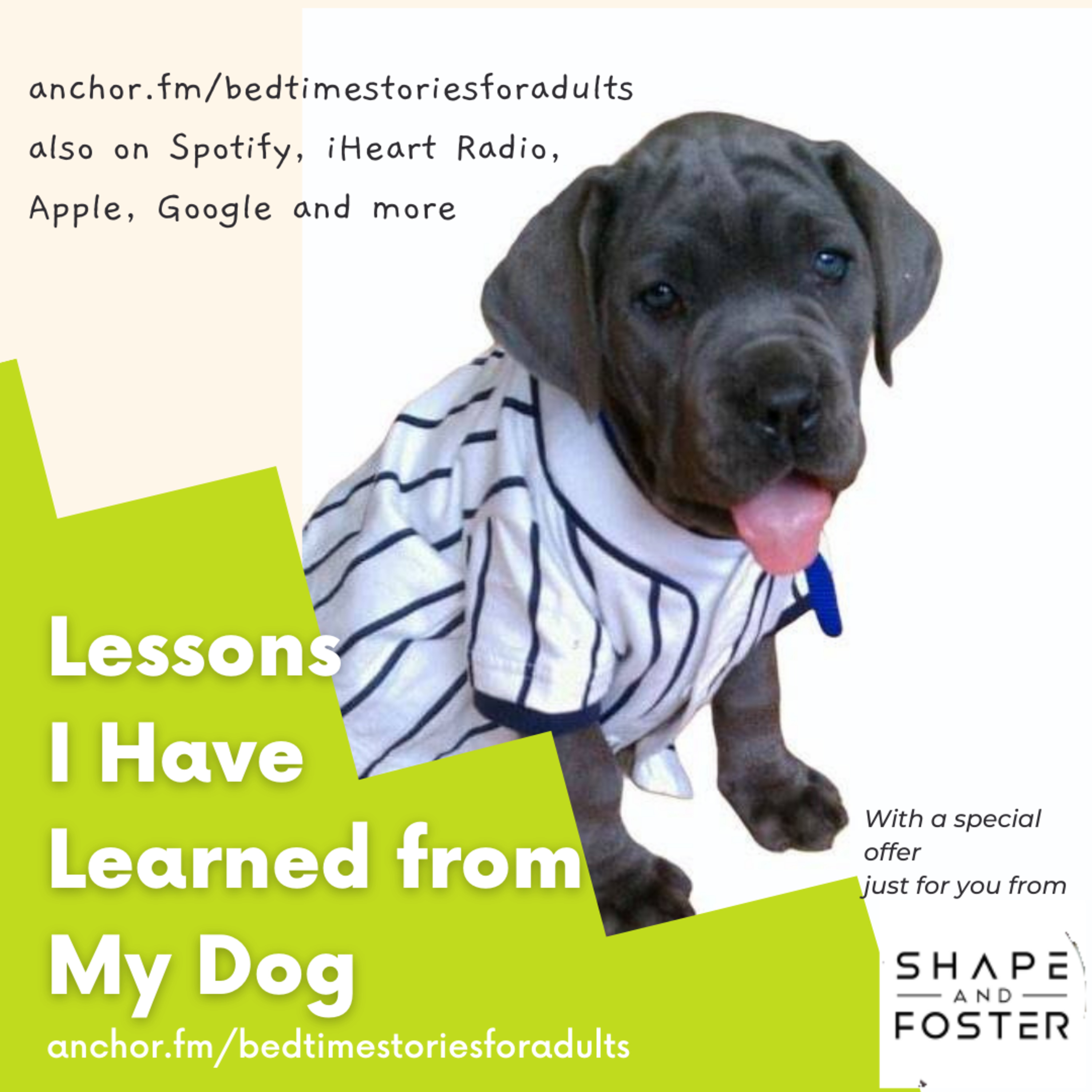 Lessons I Have Learned from My Dog . . . 