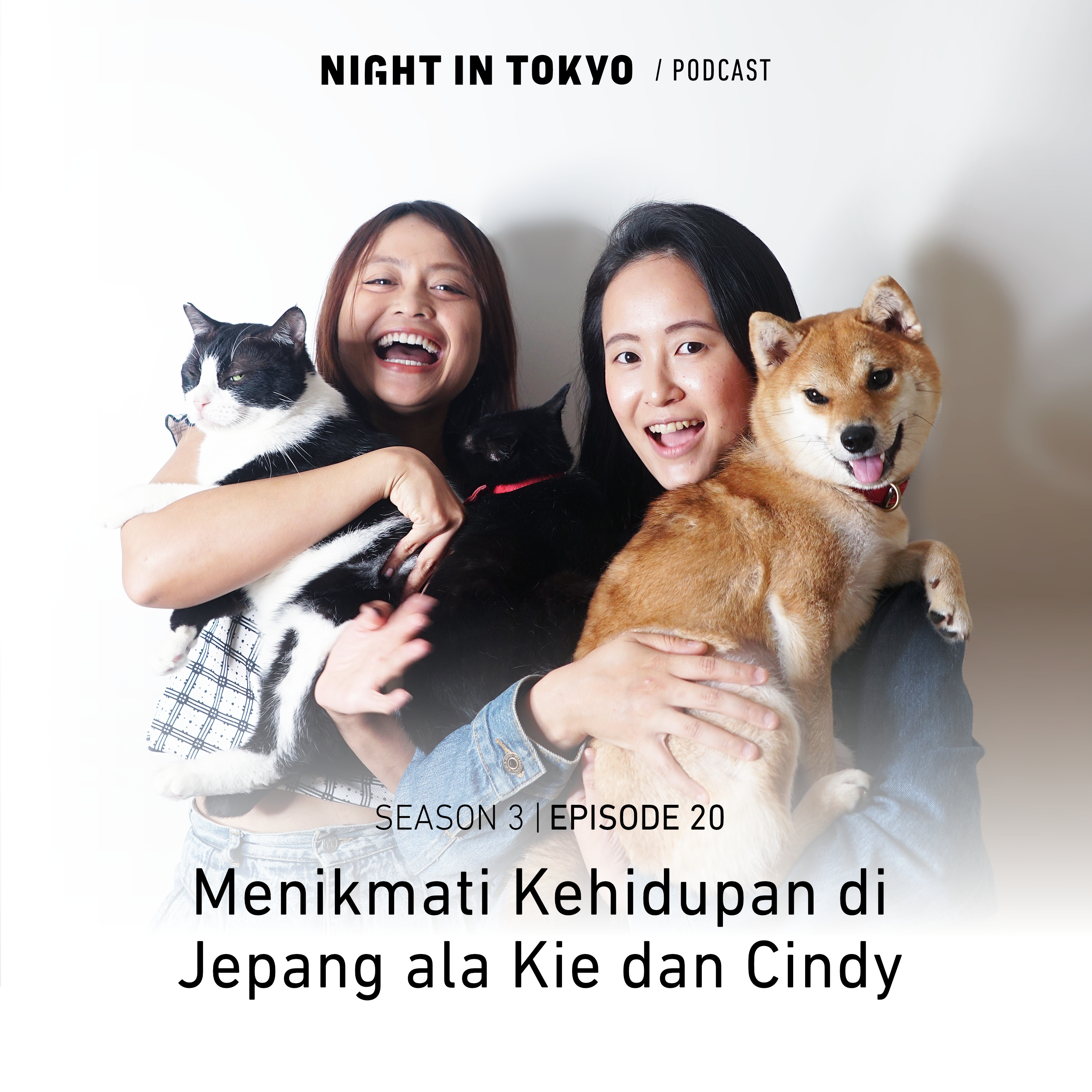 Night in Tokyo