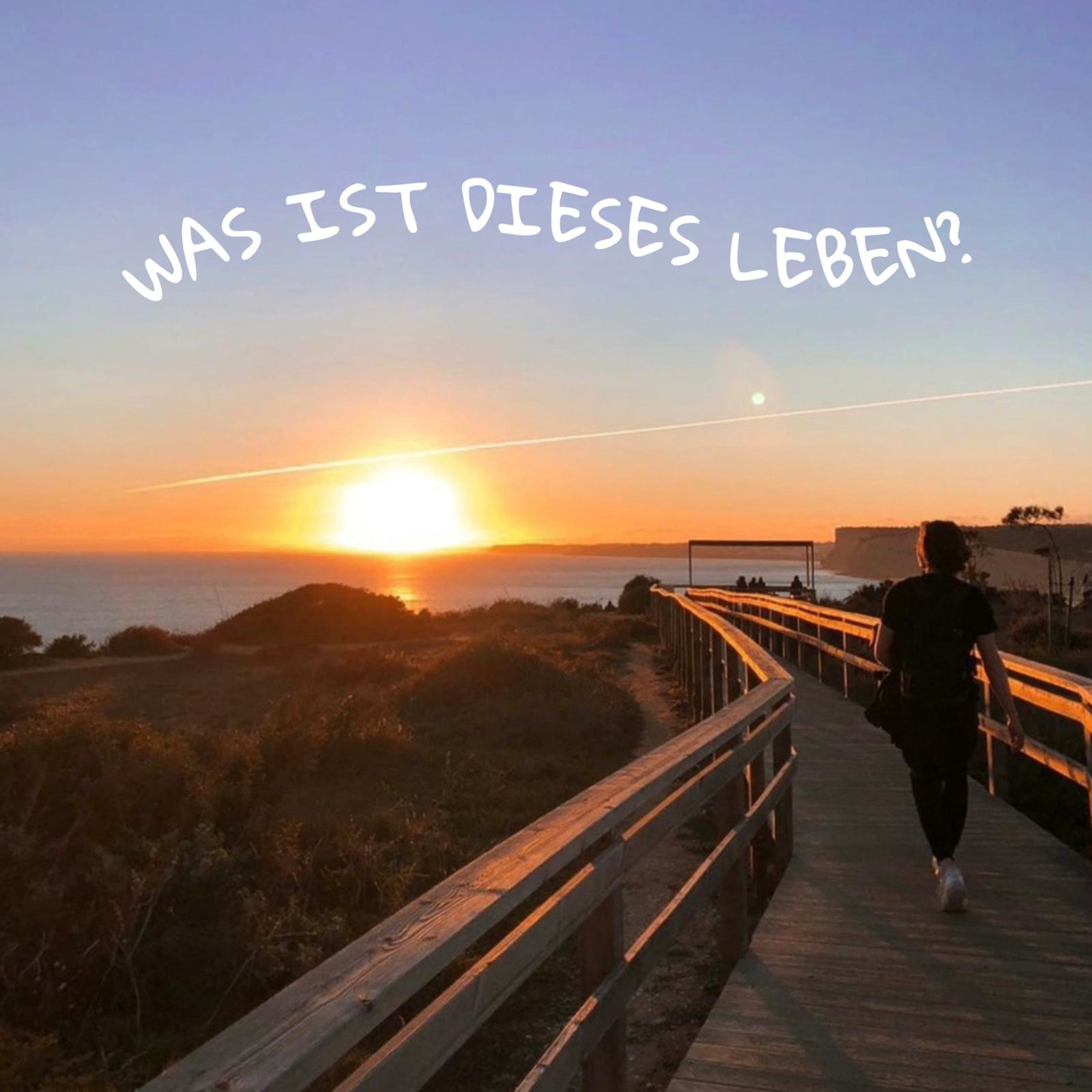 Was ist dieses Leben?