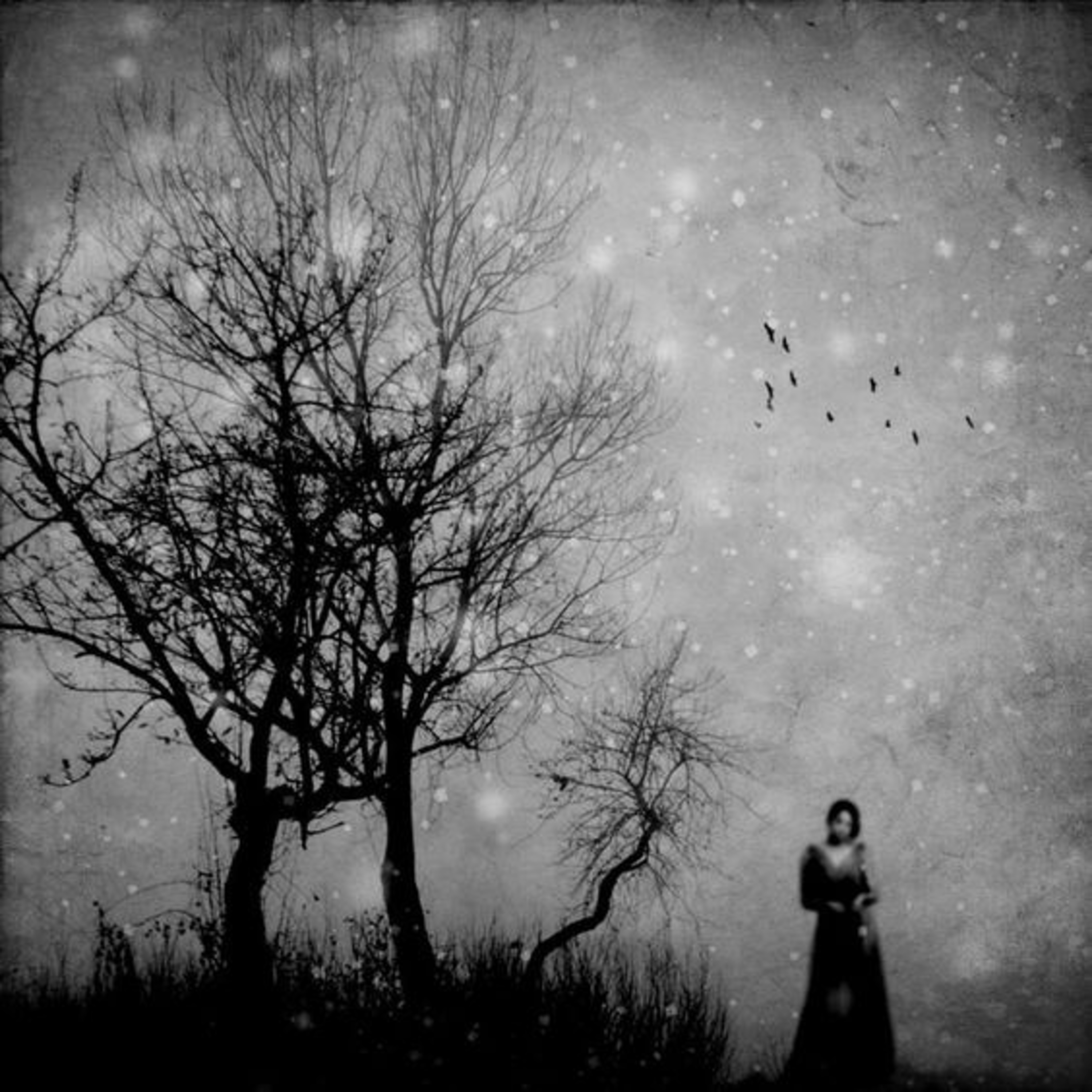 “La vida está hecha de tiempo” (Poema) episode artwork