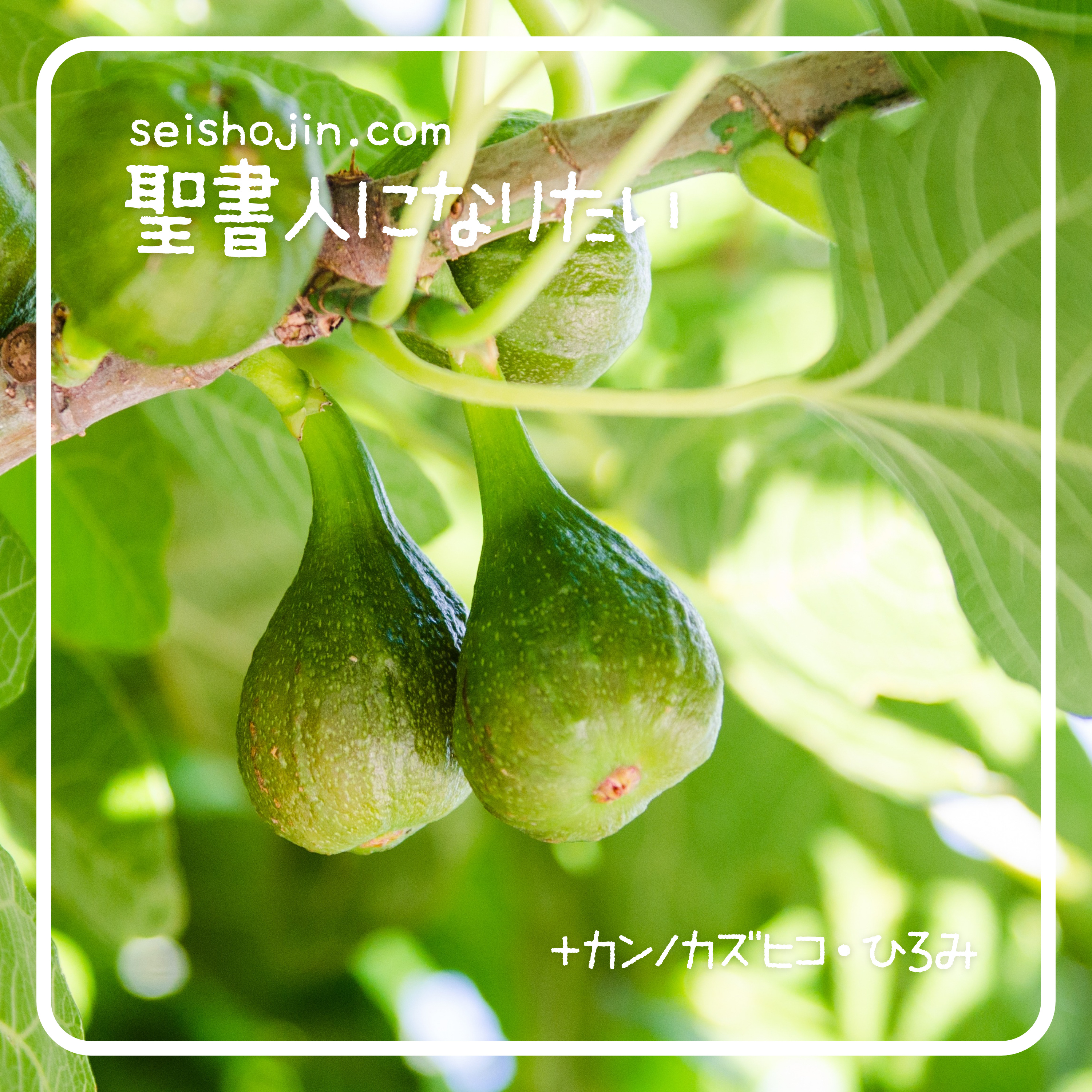 #25 なぜエデンの園に２本の木なのか episode artwork