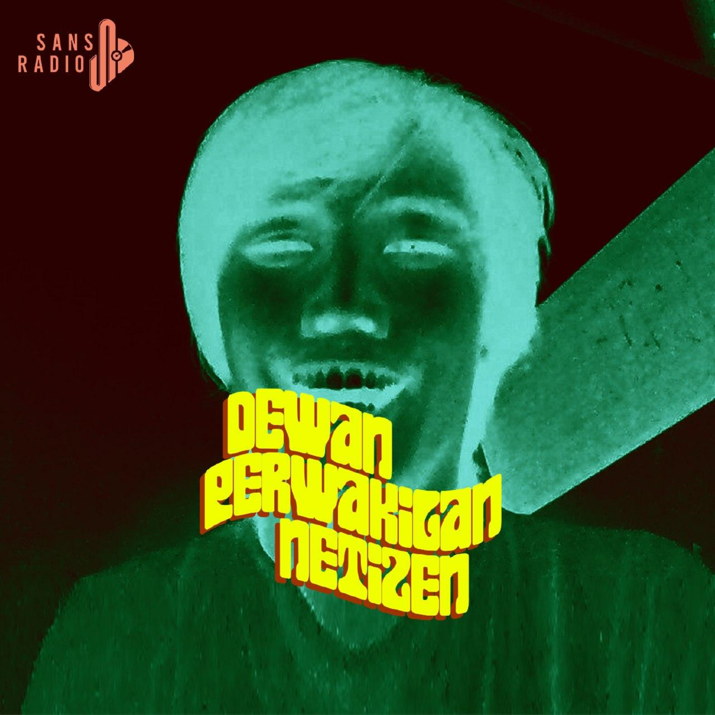 Dewan Perwakilan Netizen
