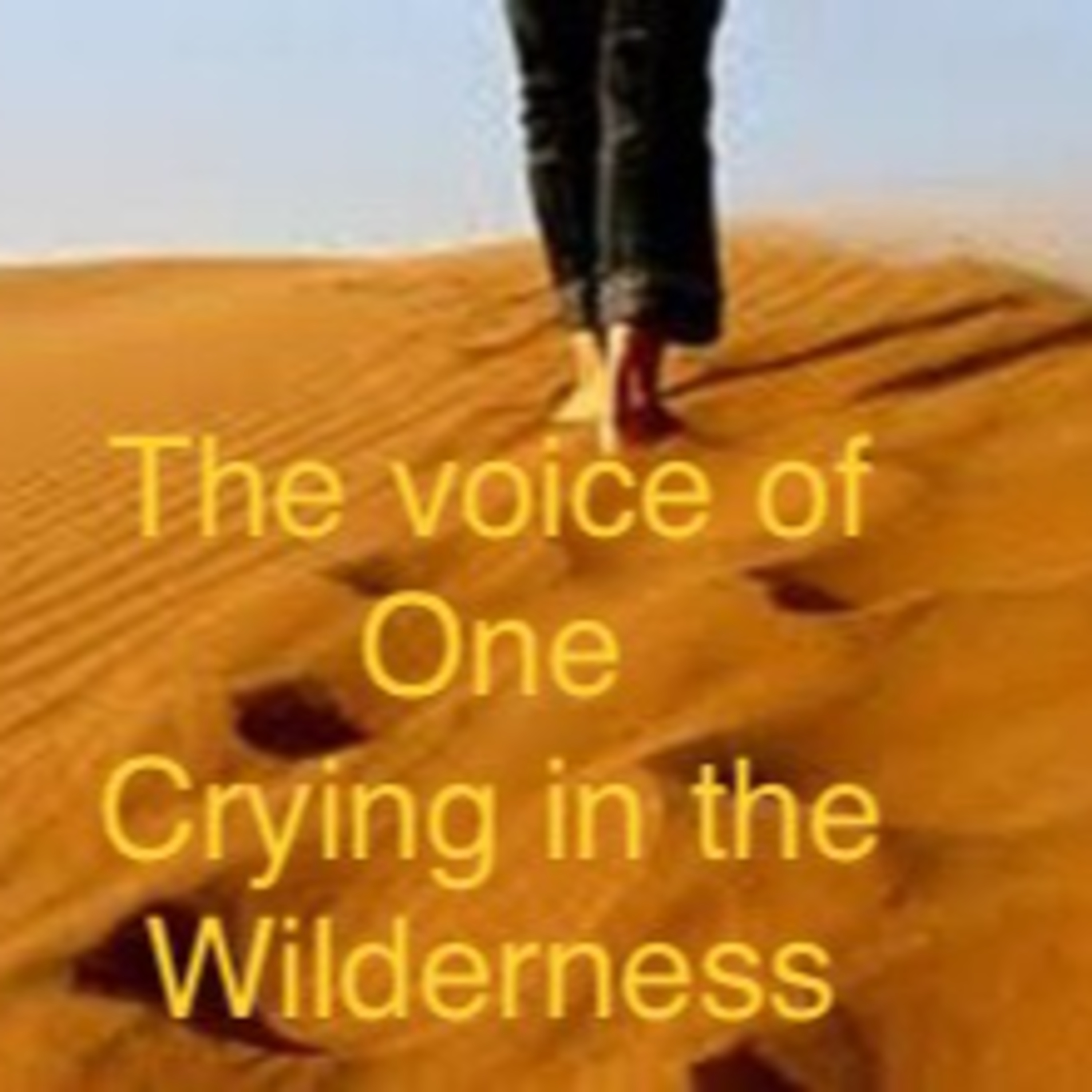 The Voice of One Crying in the Wilderness episode artwork