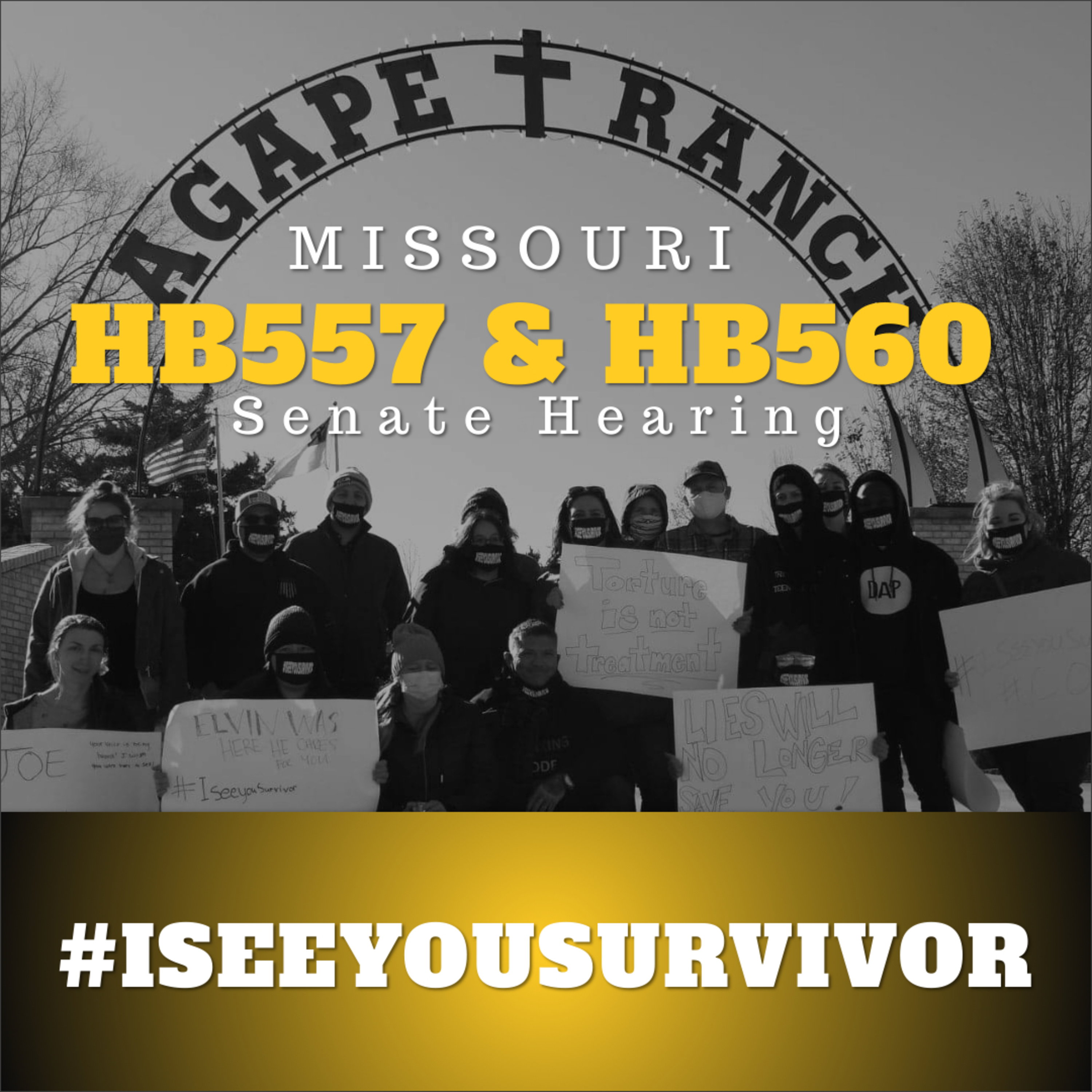 Senate Hearing & Testimony on MO HB557 & 560 thumbnail