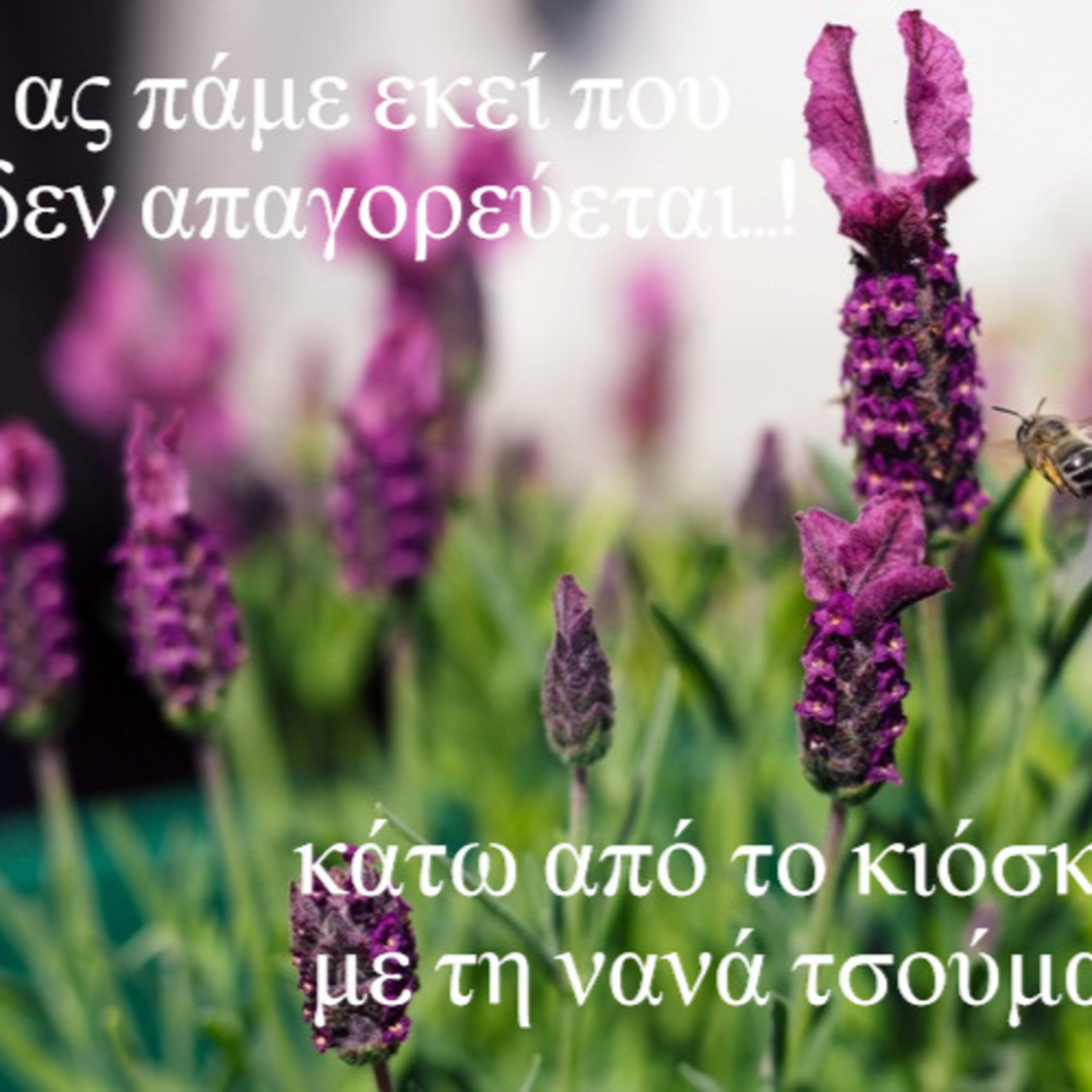 Κάτω από το Κιόσκι με τη Νανά Τσούμα