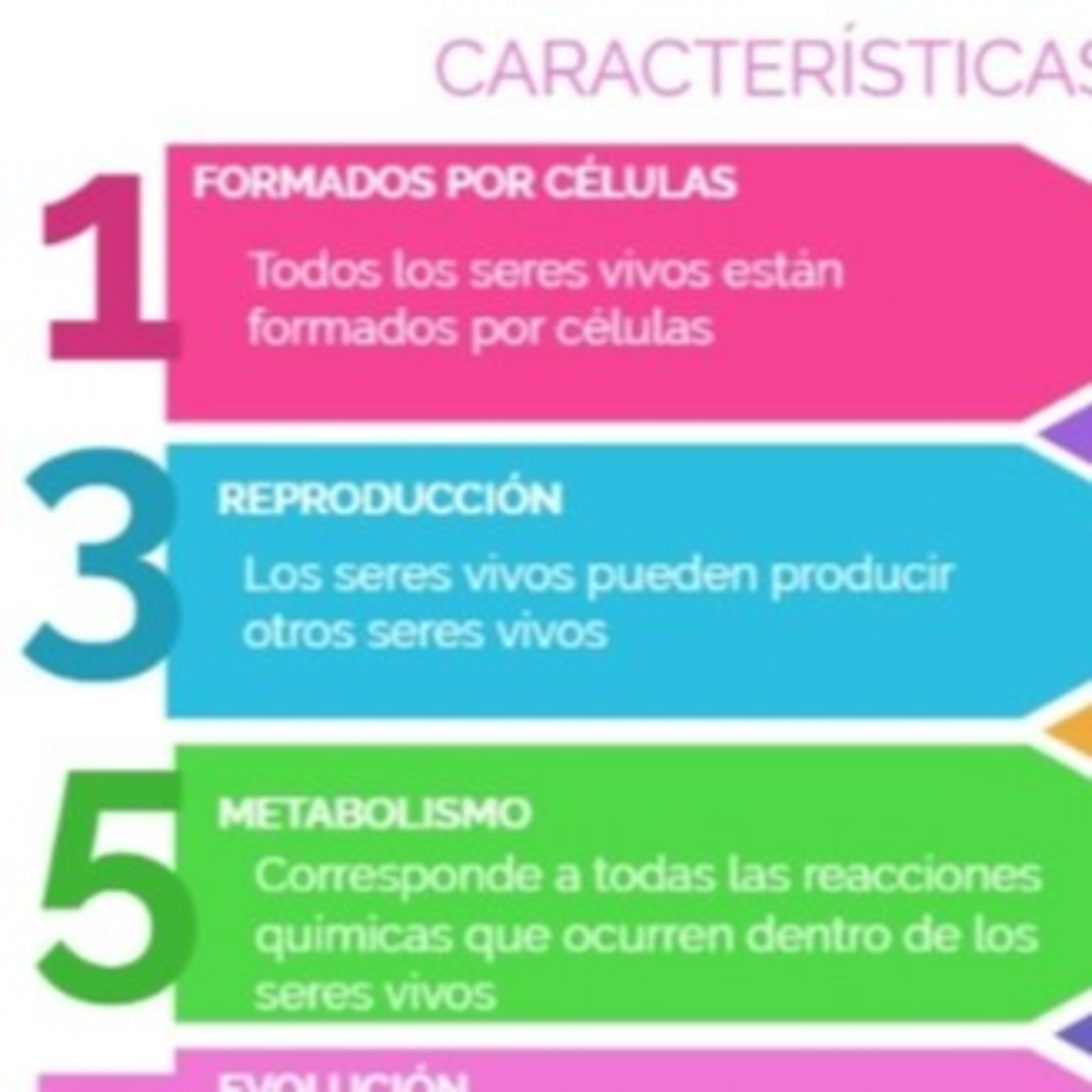Biomaca