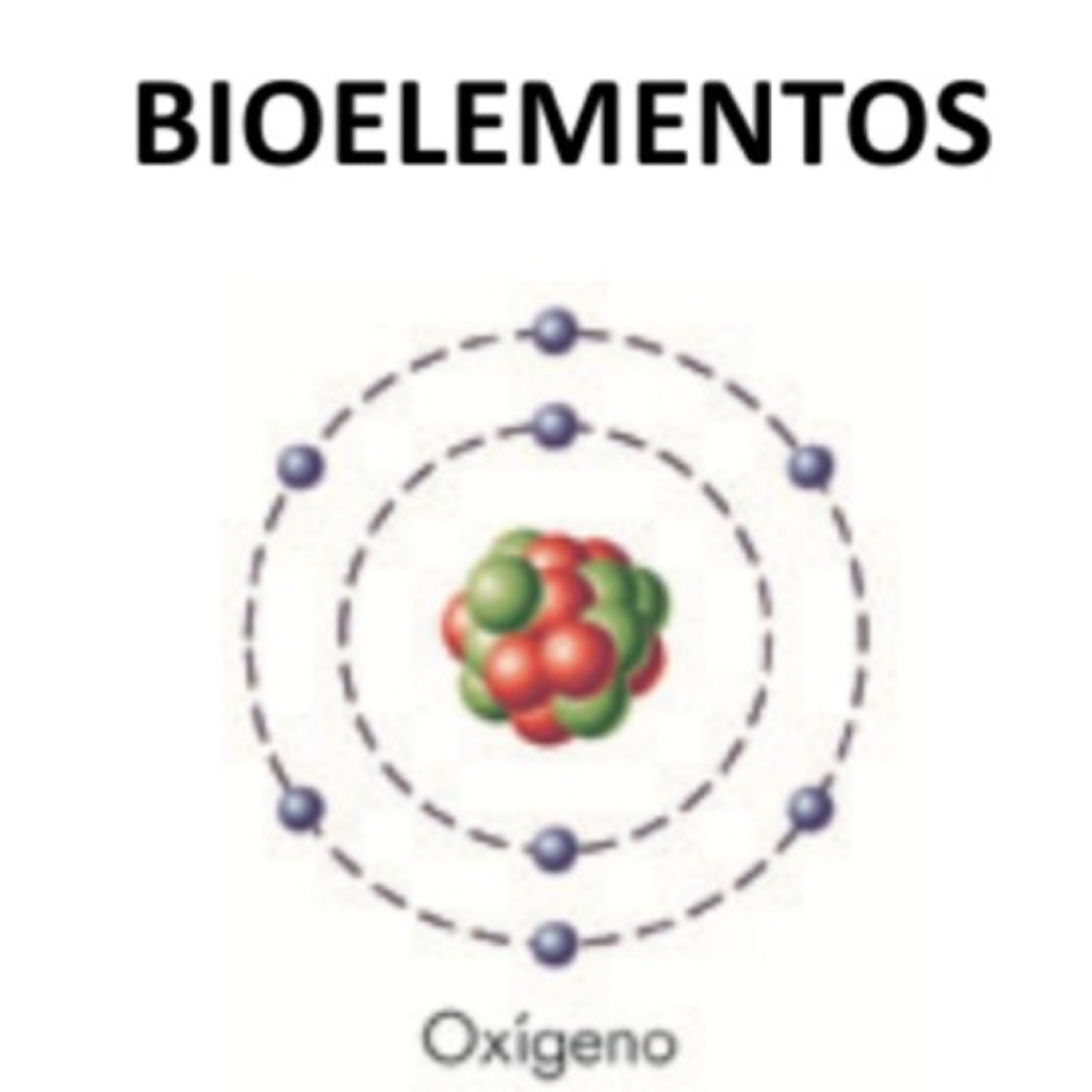 Biomaca