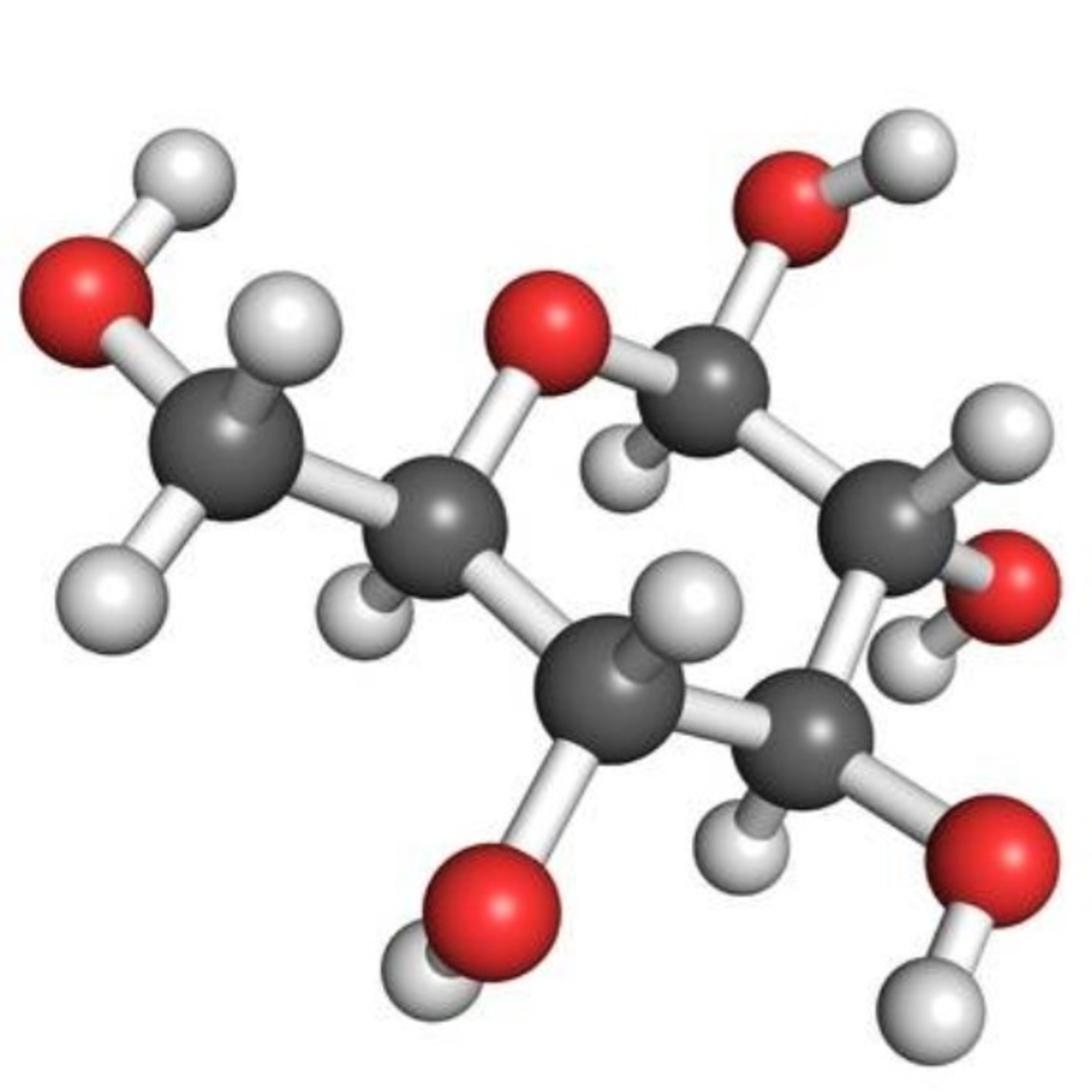 Biomaca