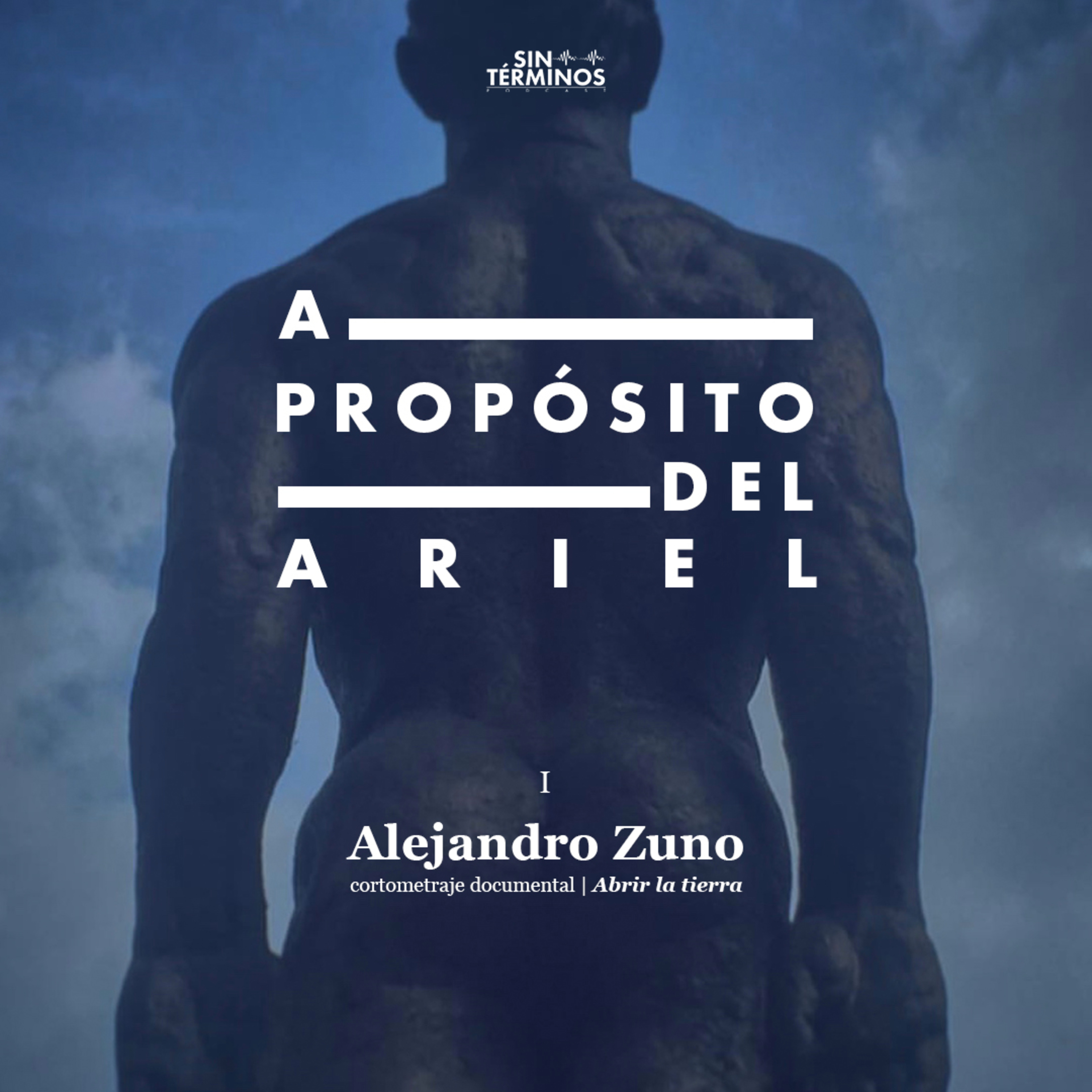 Sin Términos