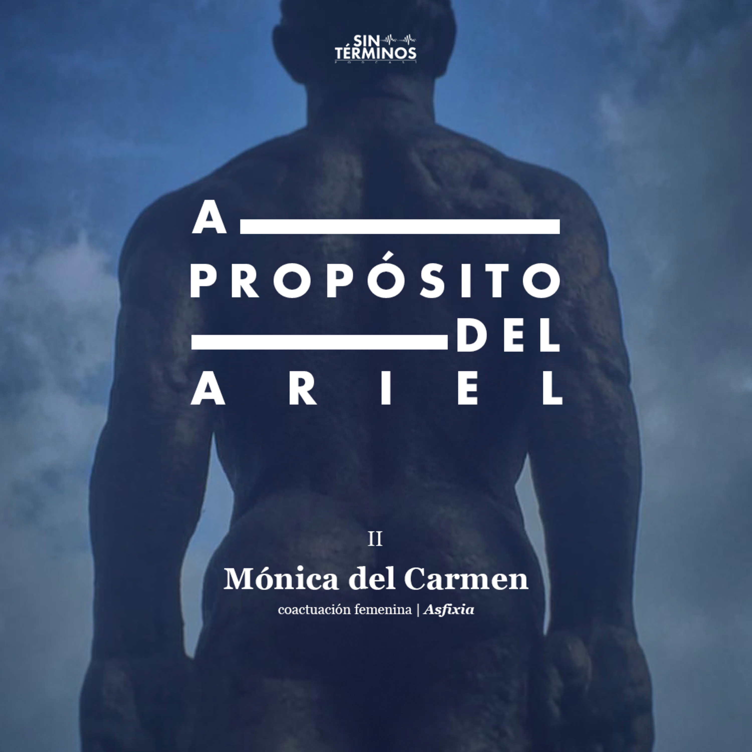 Sin Términos