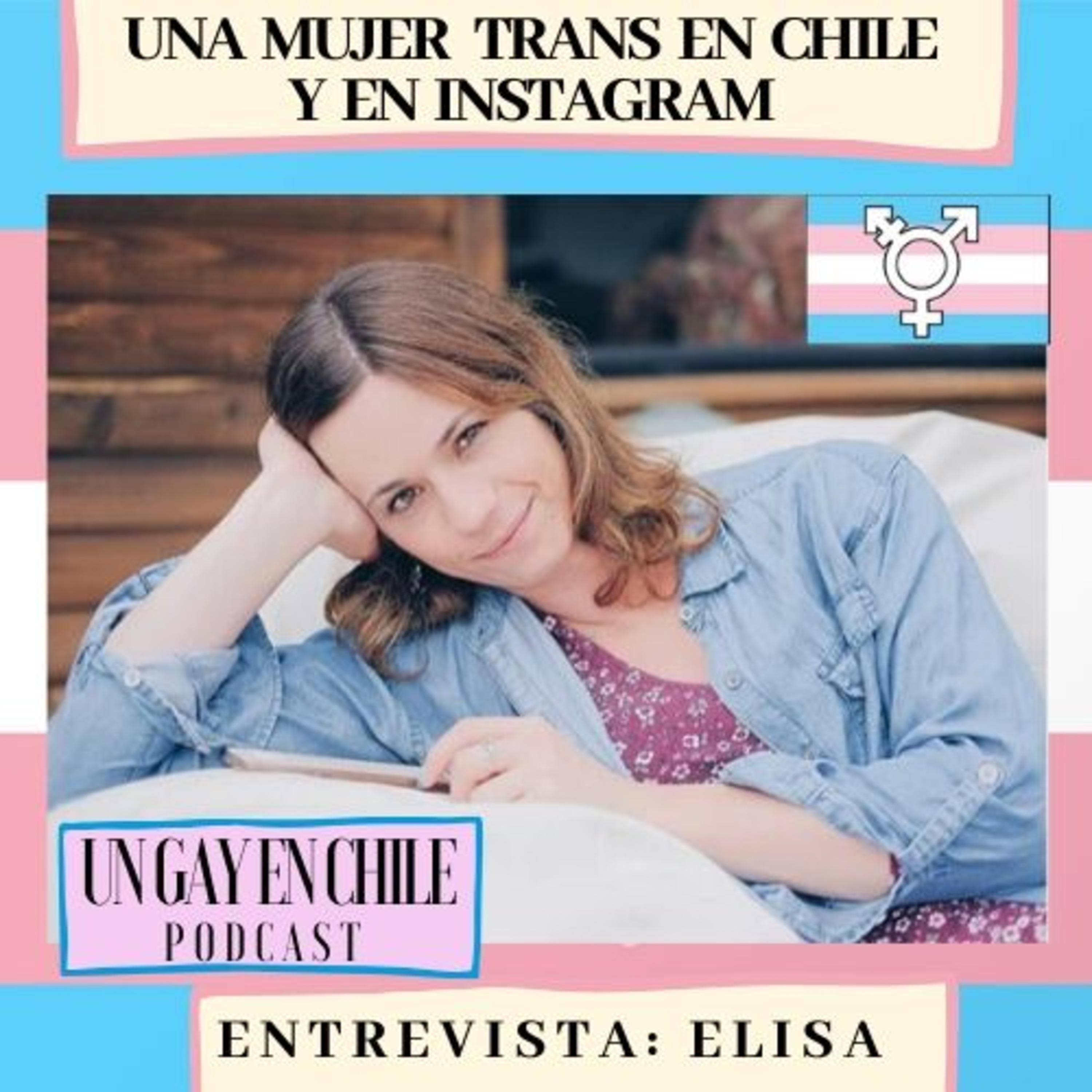 Un gay en Chile