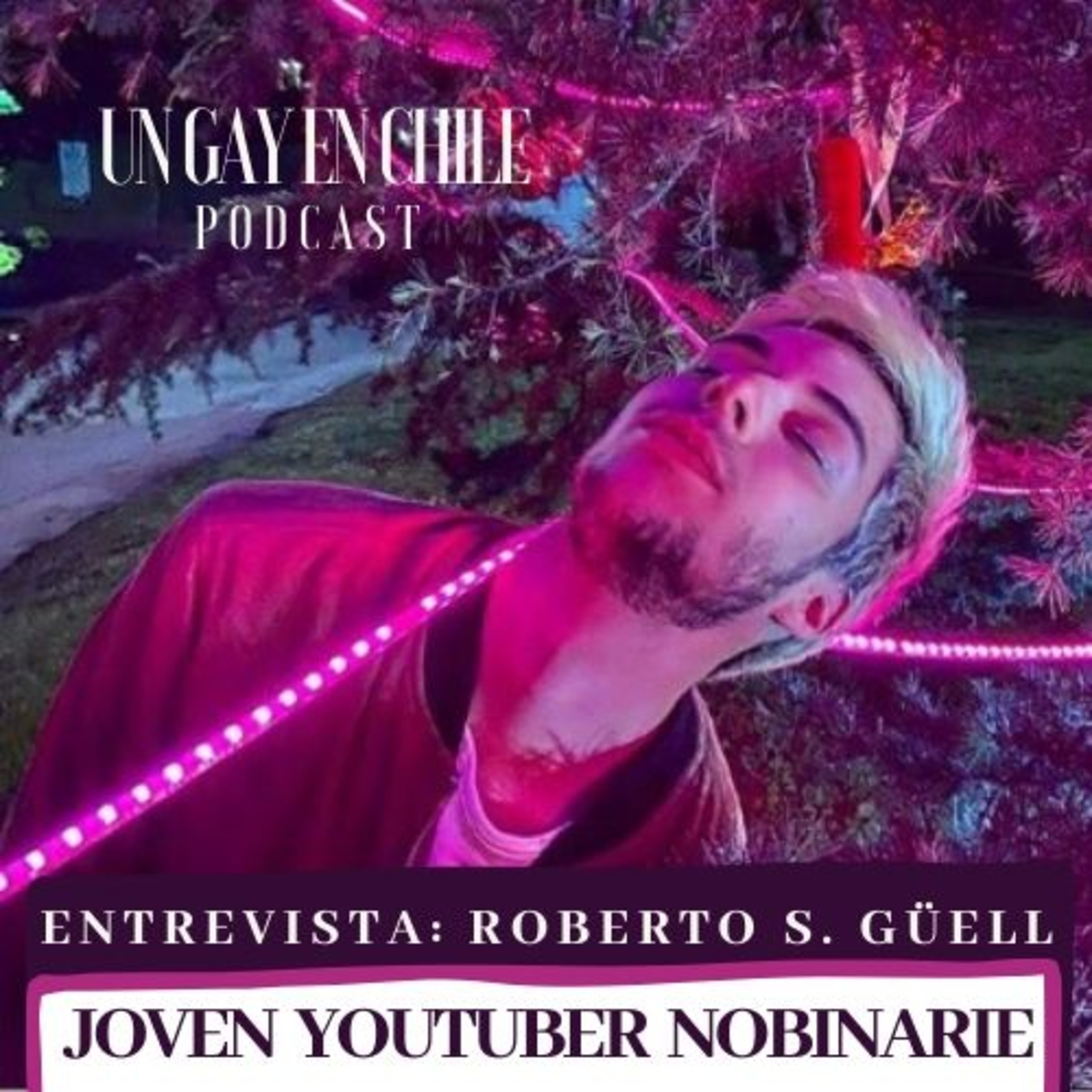 Un gay en Chile