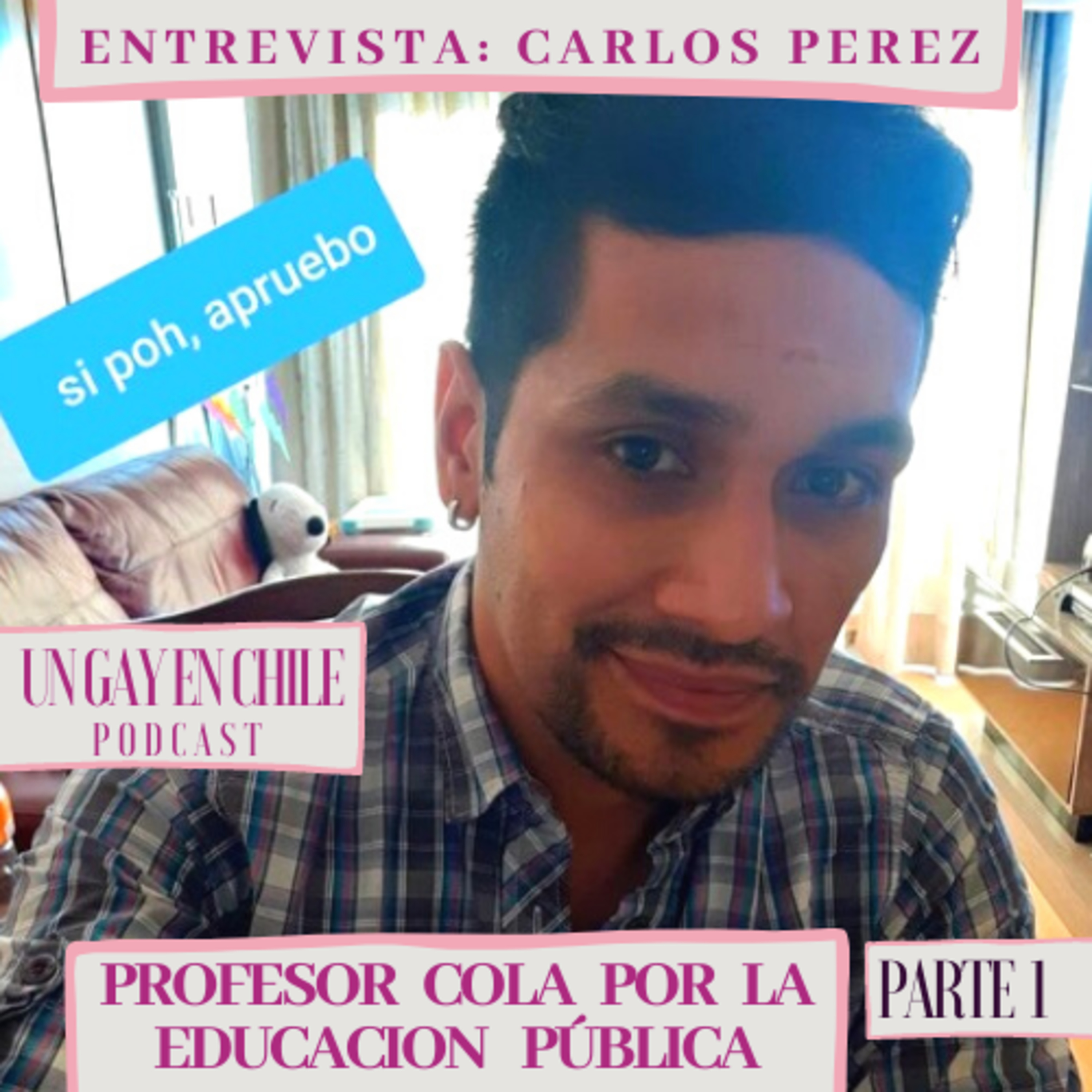 Un gay en Chile