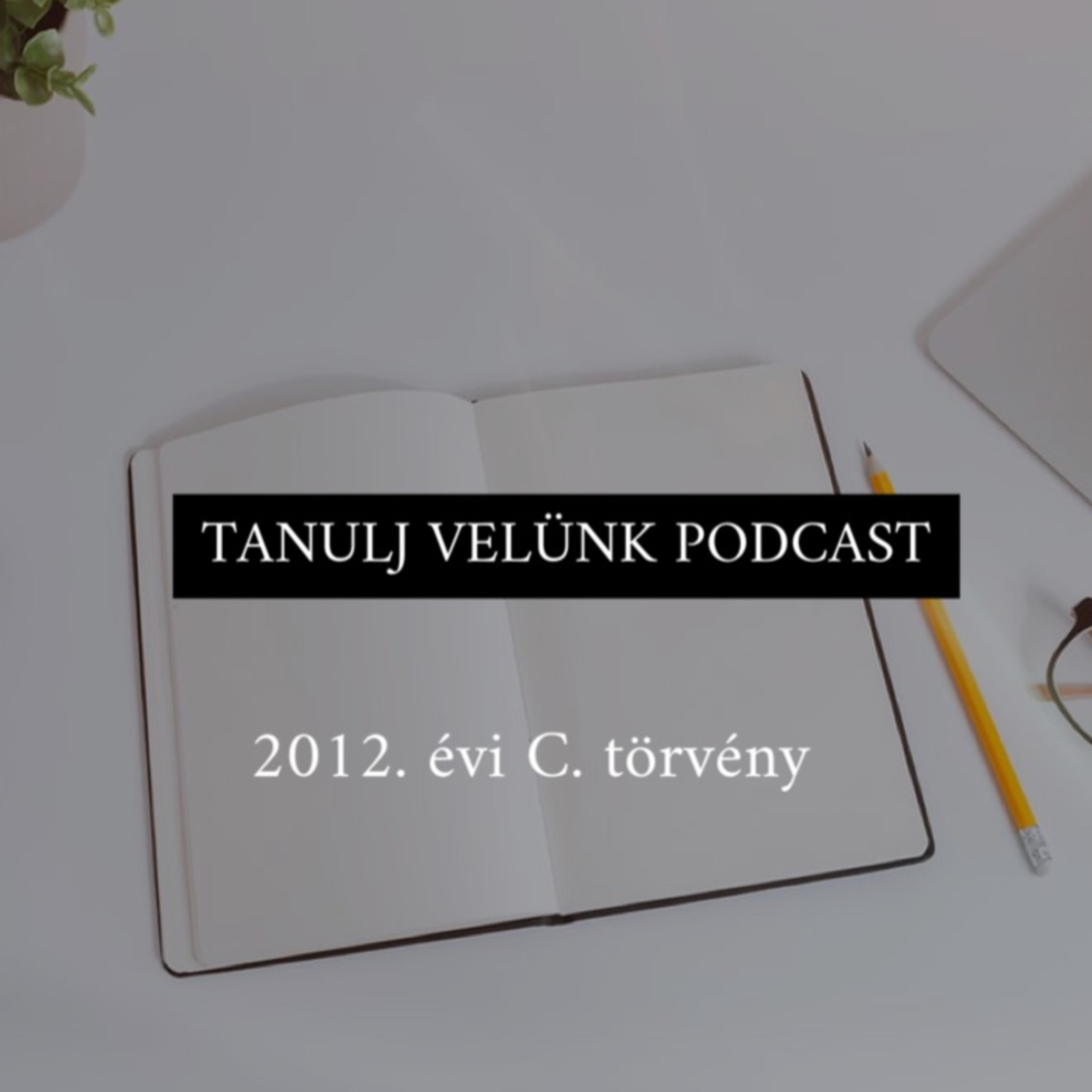 Hatodik epizód - Btk. IV. Fejezet - Beszámítást kizáró okok