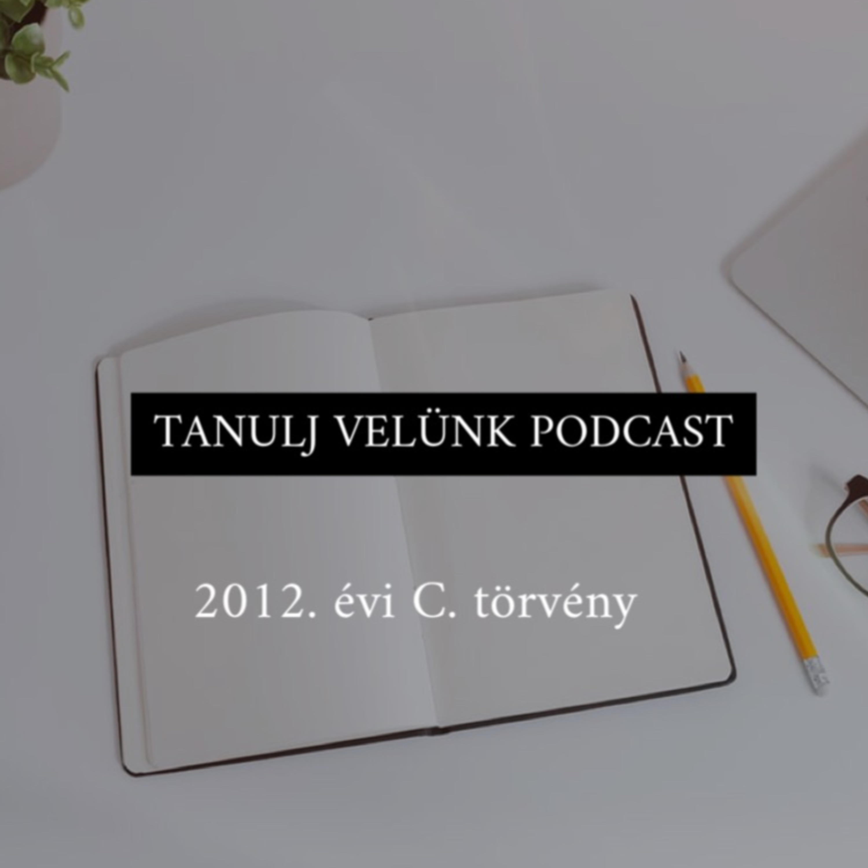 Nyolcadik epizód - Btk. IV. Fejezet - A társadalomra veszélyességet kizáró okok