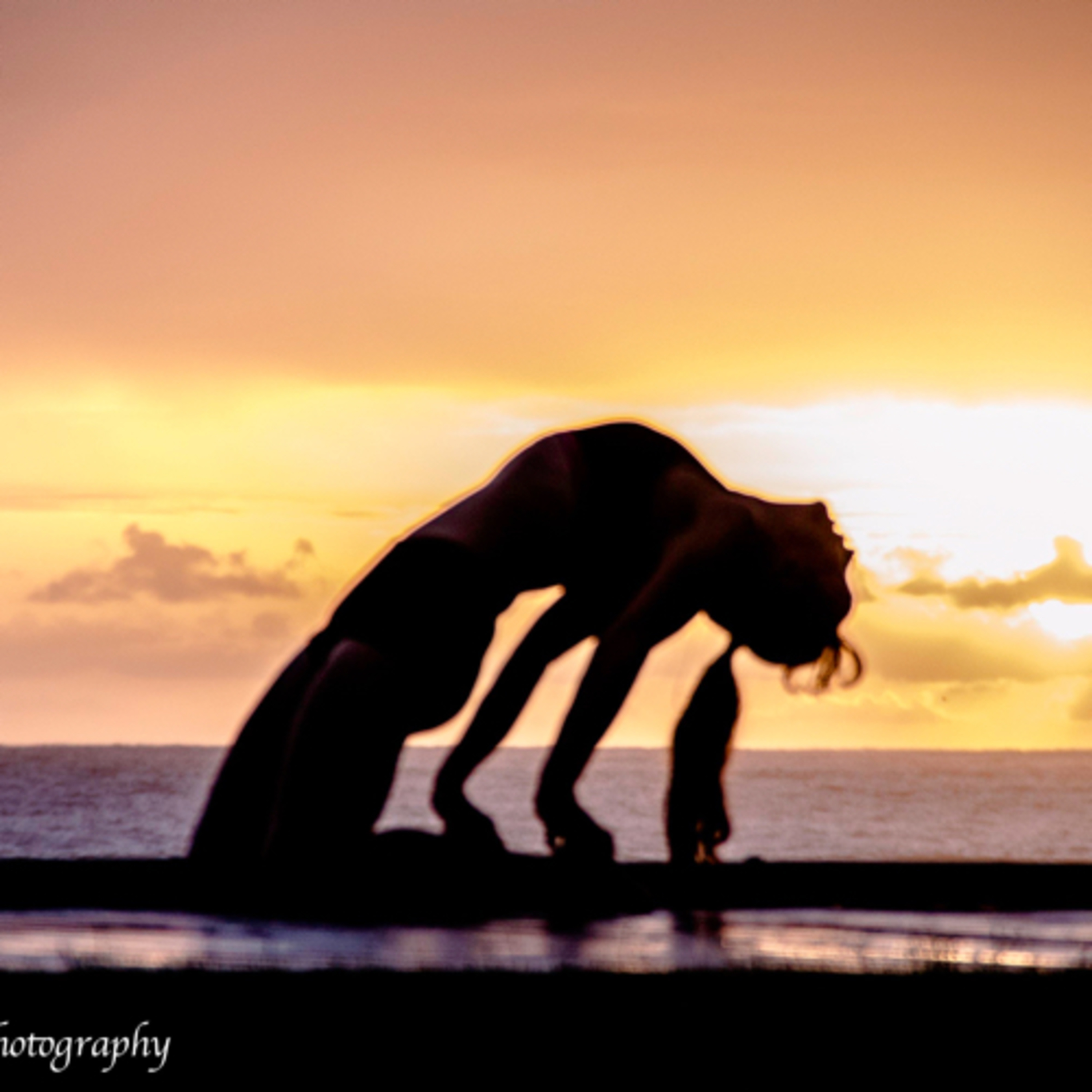 The EarthMother Food Connection