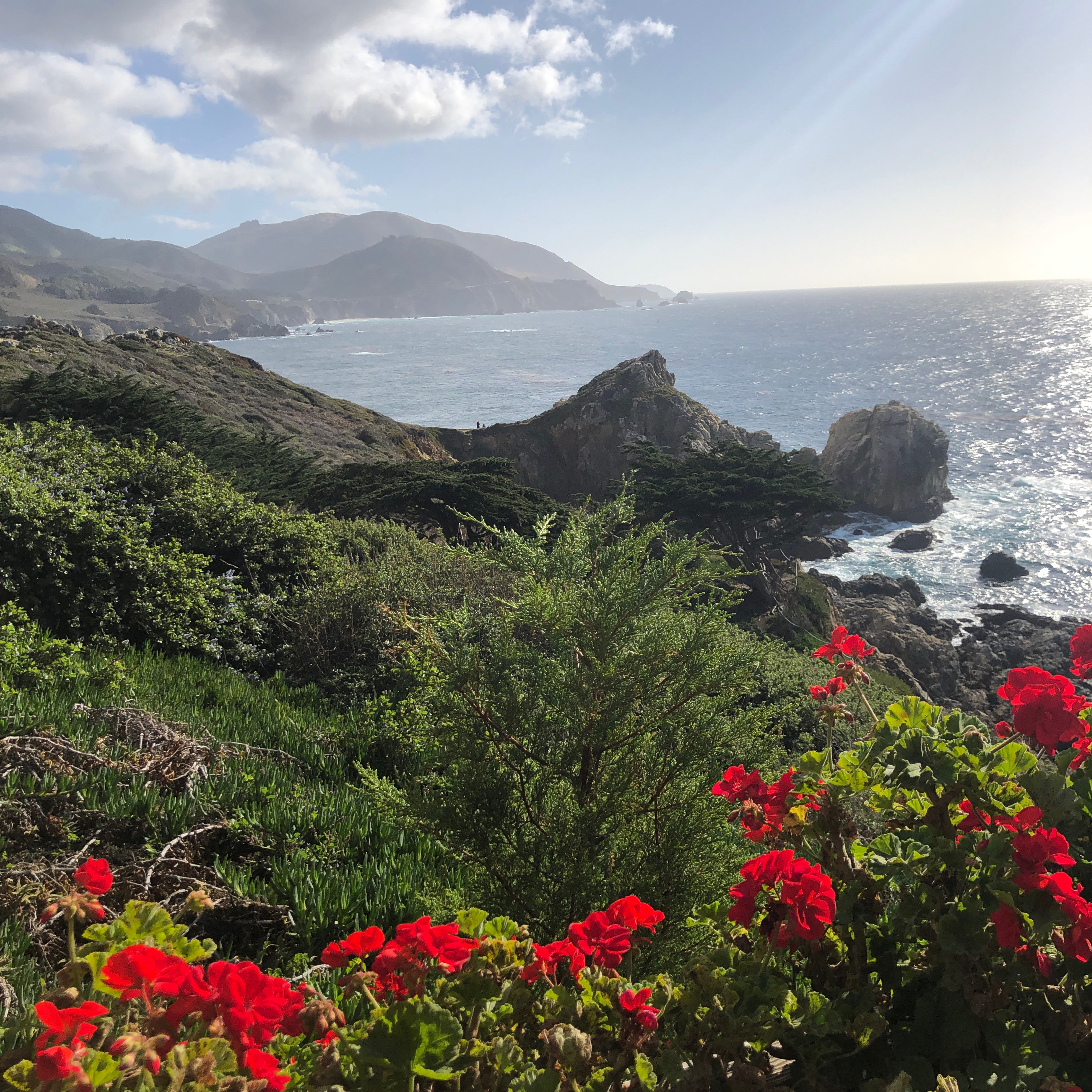 A mom\'s journey with 22q11.2