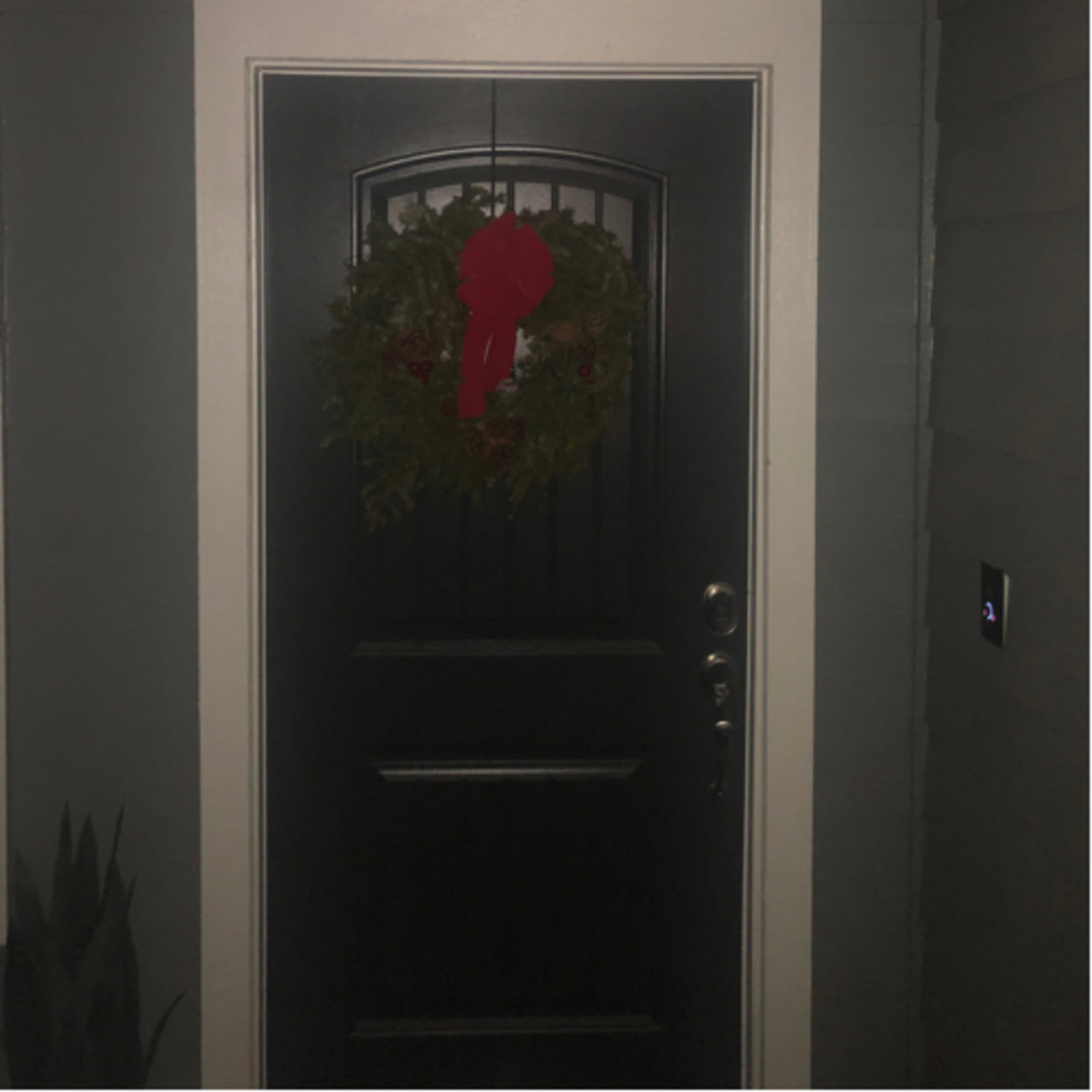 A mom\'s journey with 22q11.2