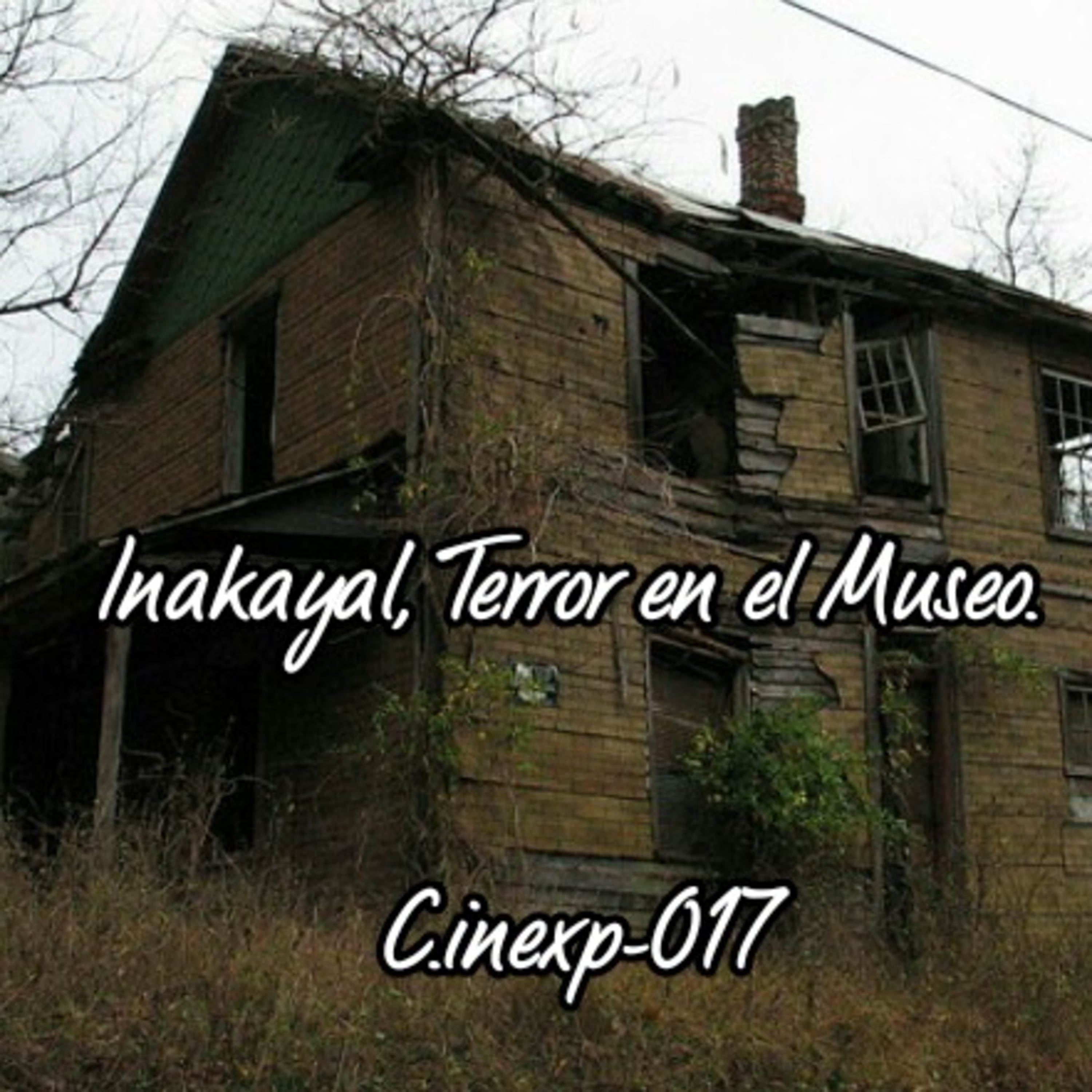 Contacto Inexplicable 23