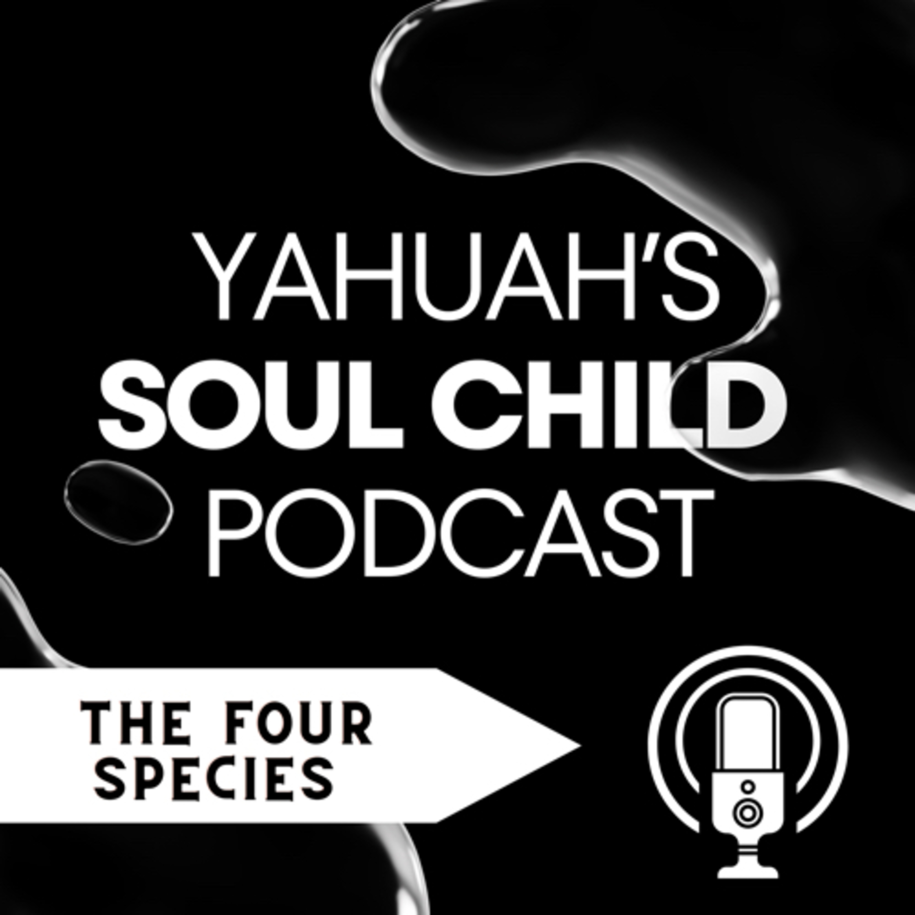 YahuaH’s Soul Child