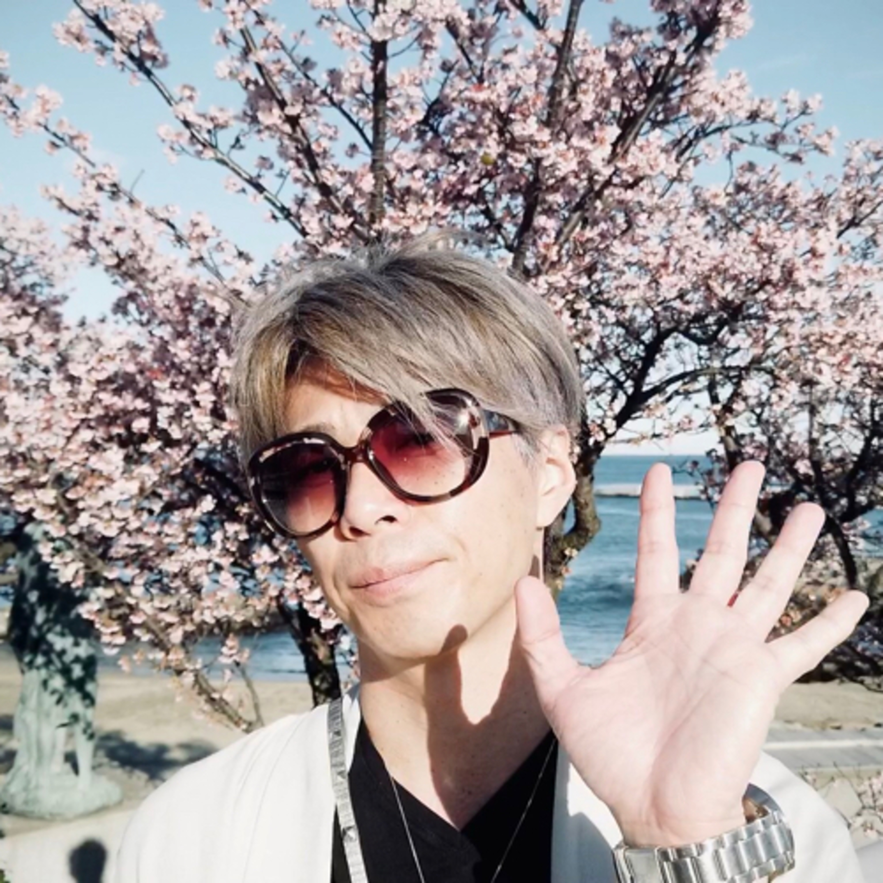 VLOGはじめました episode artwork