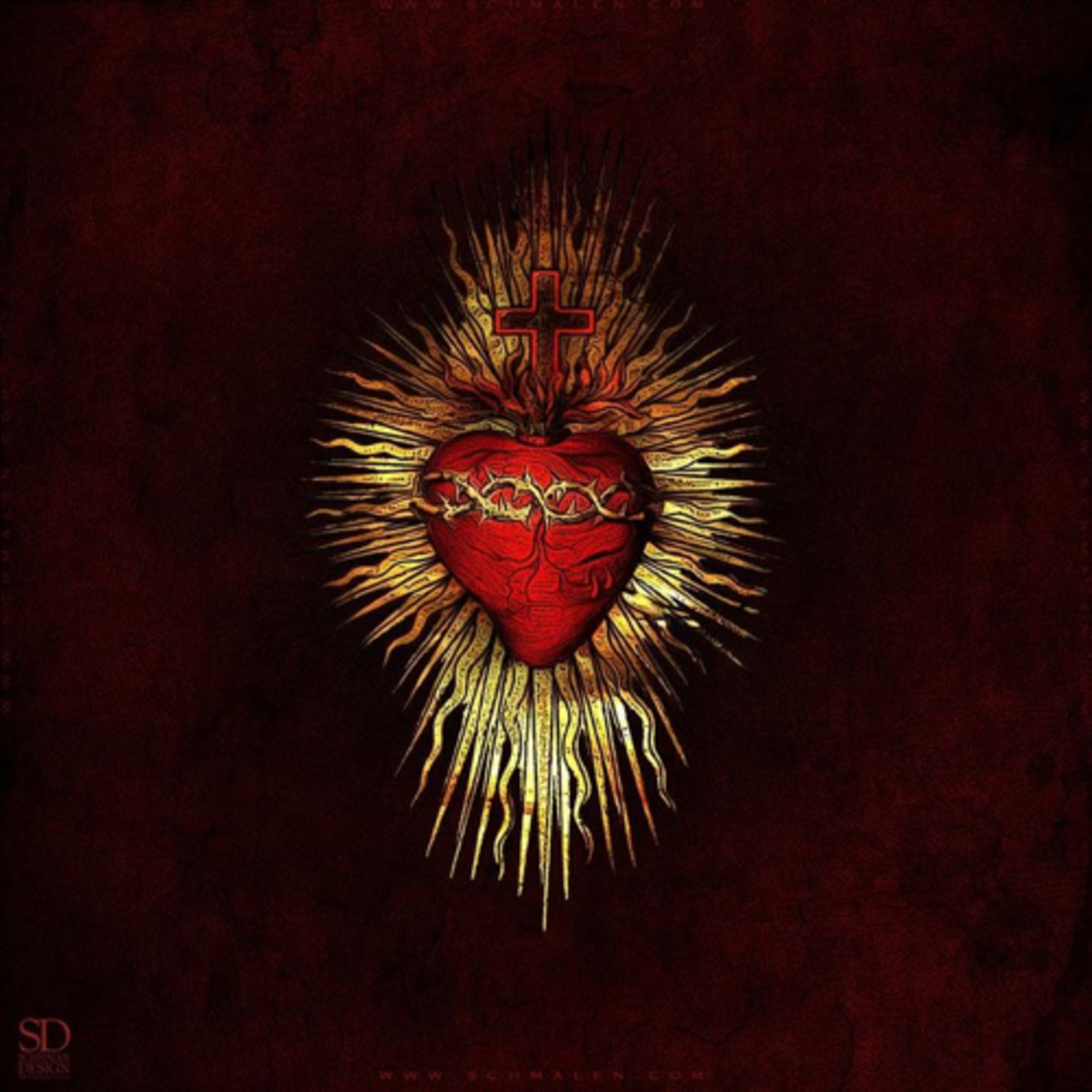 Portada de Steven Neira (laico católico)