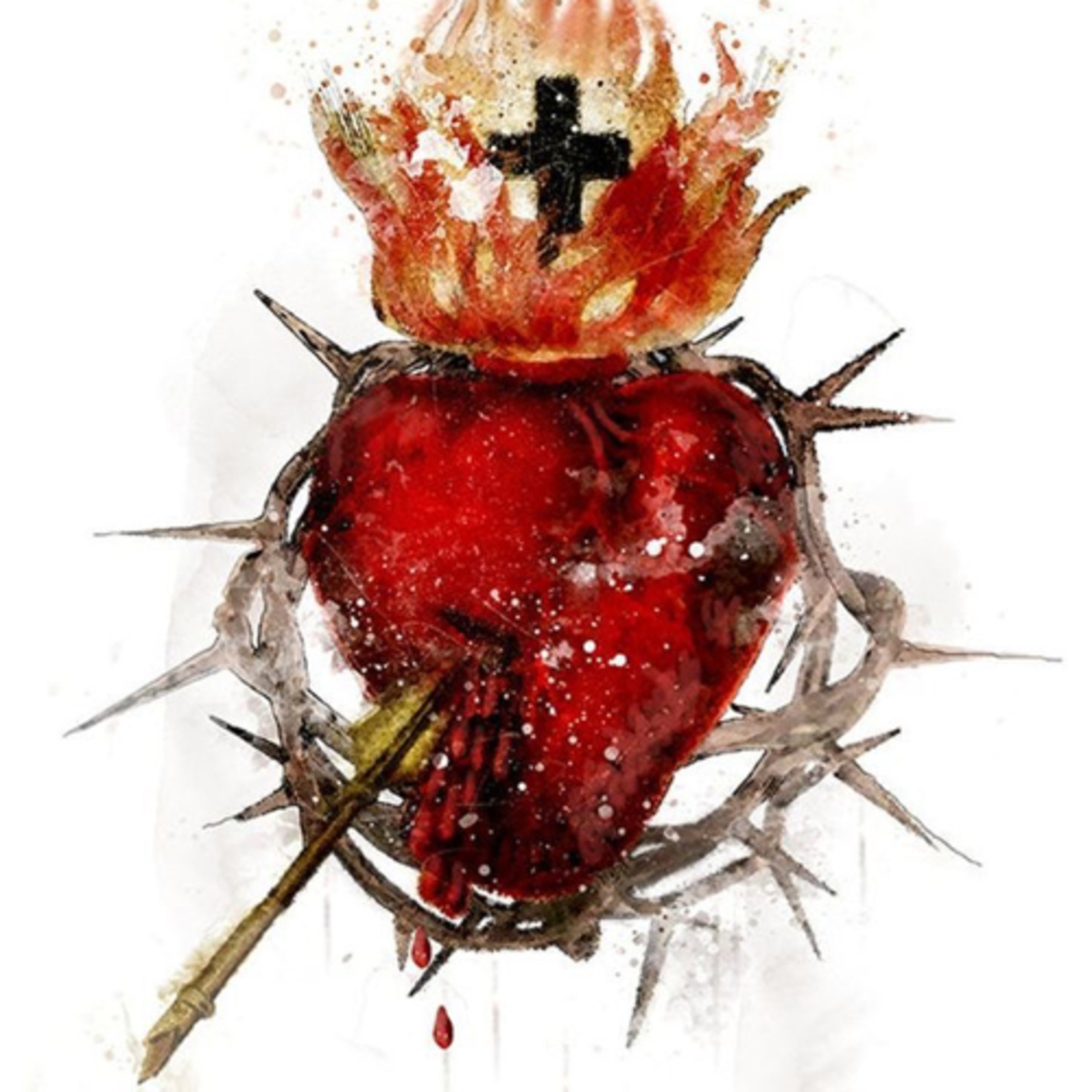 La sabiduría viene del Amor (Lc 12, 54-59) episode artwork