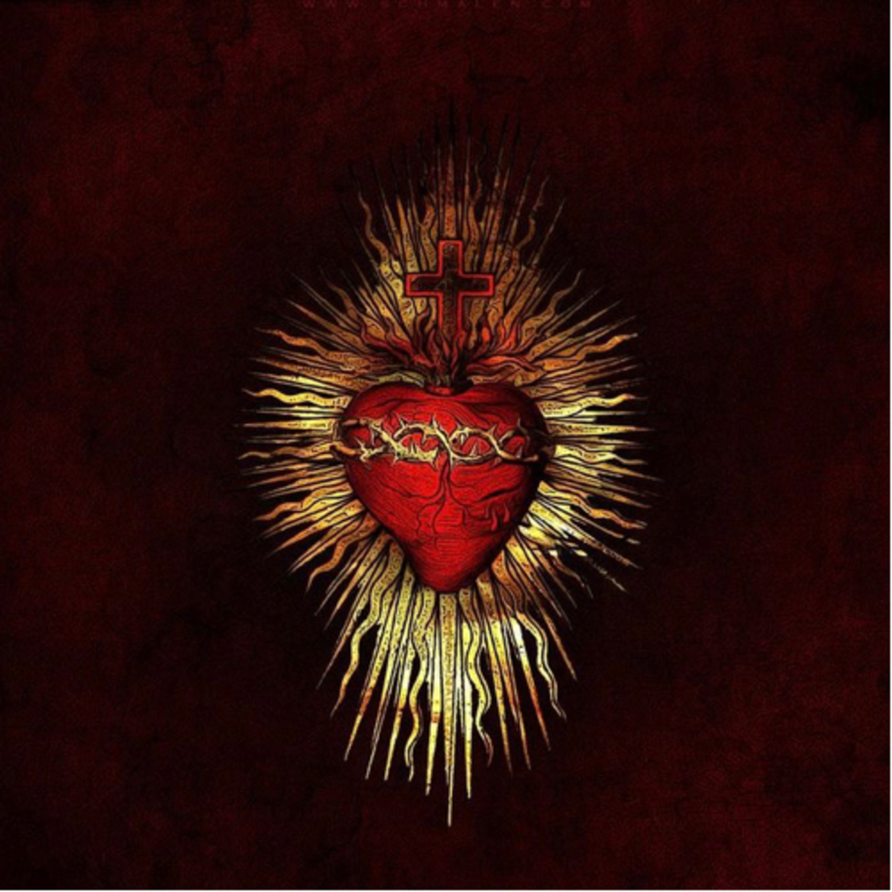 El amor universal (Mt 5, 43-48) episode artwork