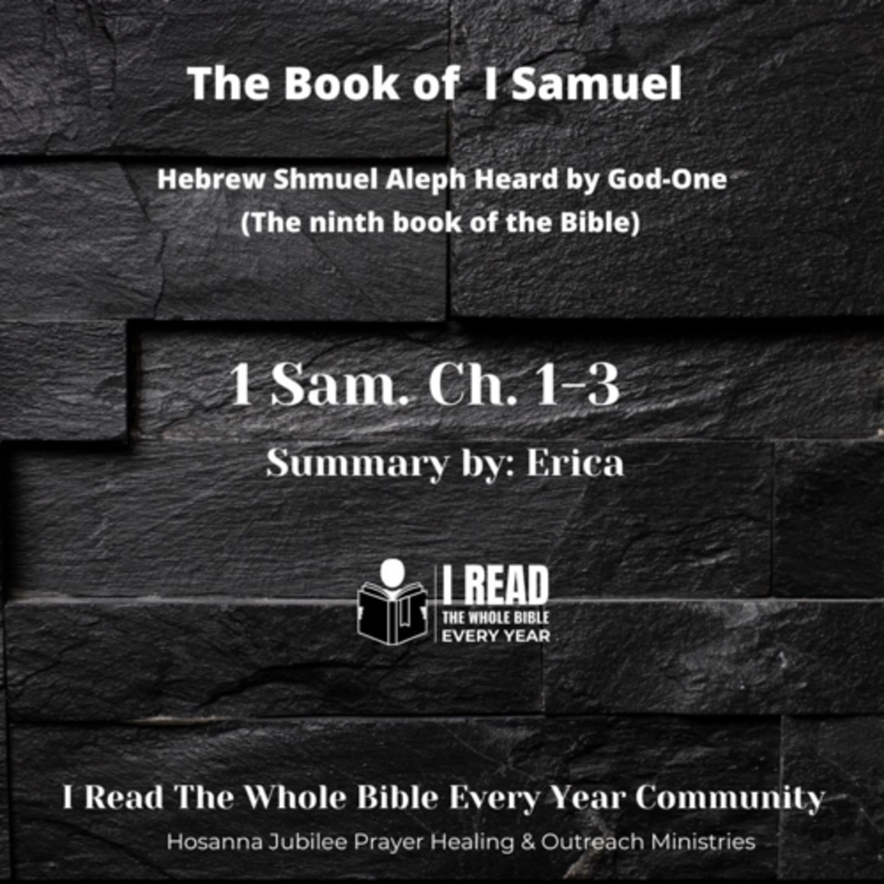 IRTWBEY365 (I Read The Whole Bible Every Year Podcast)
