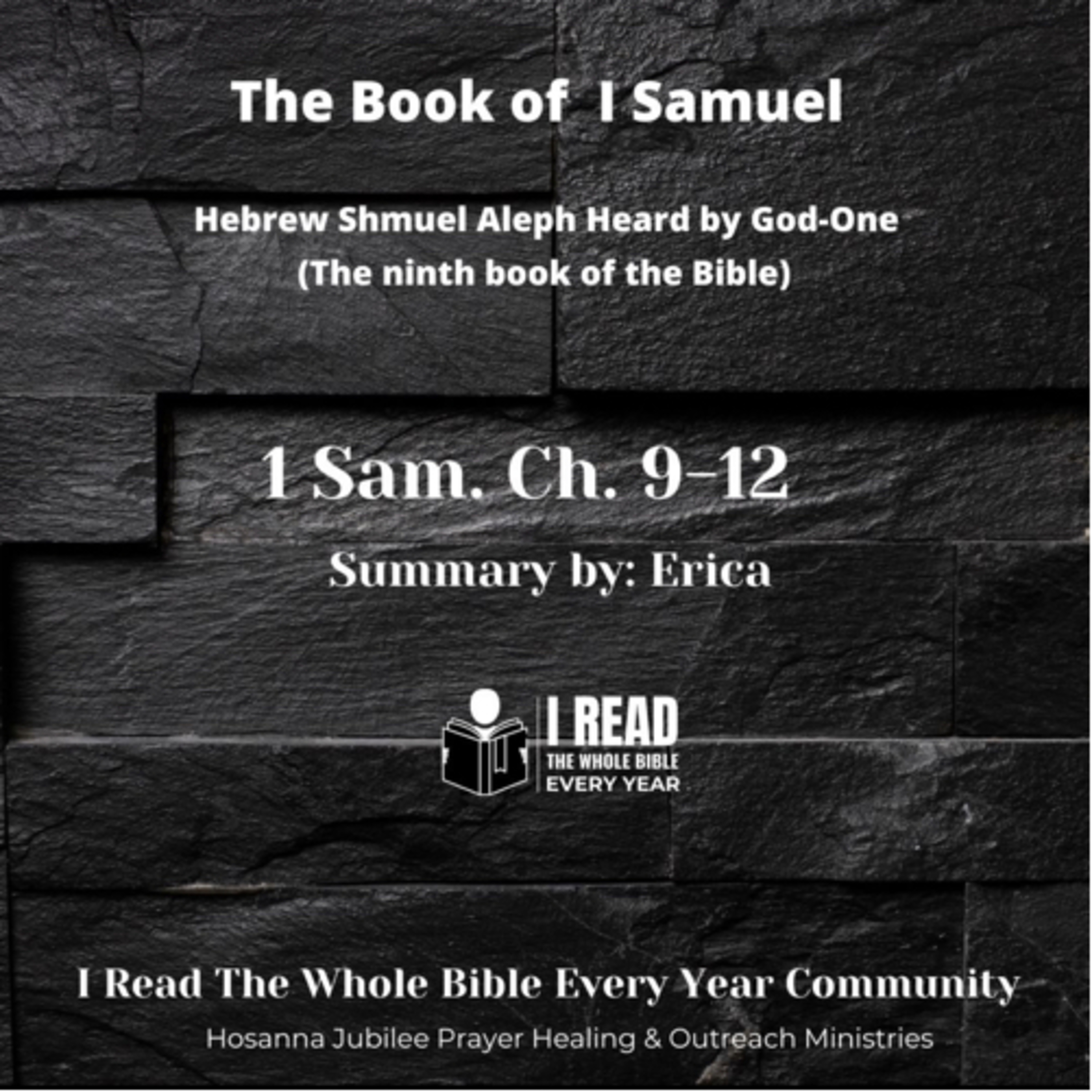 IRTWBEY365 (I Read The Whole Bible Every Year Podcast)