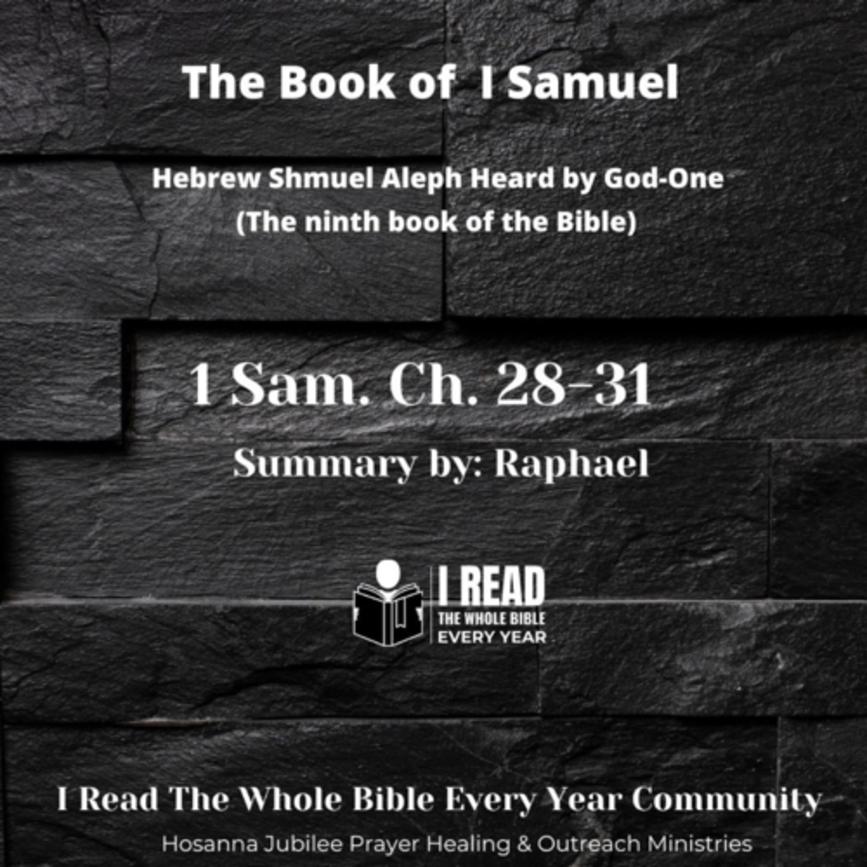 IRTWBEY365 (I Read The Whole Bible Every Year Podcast)