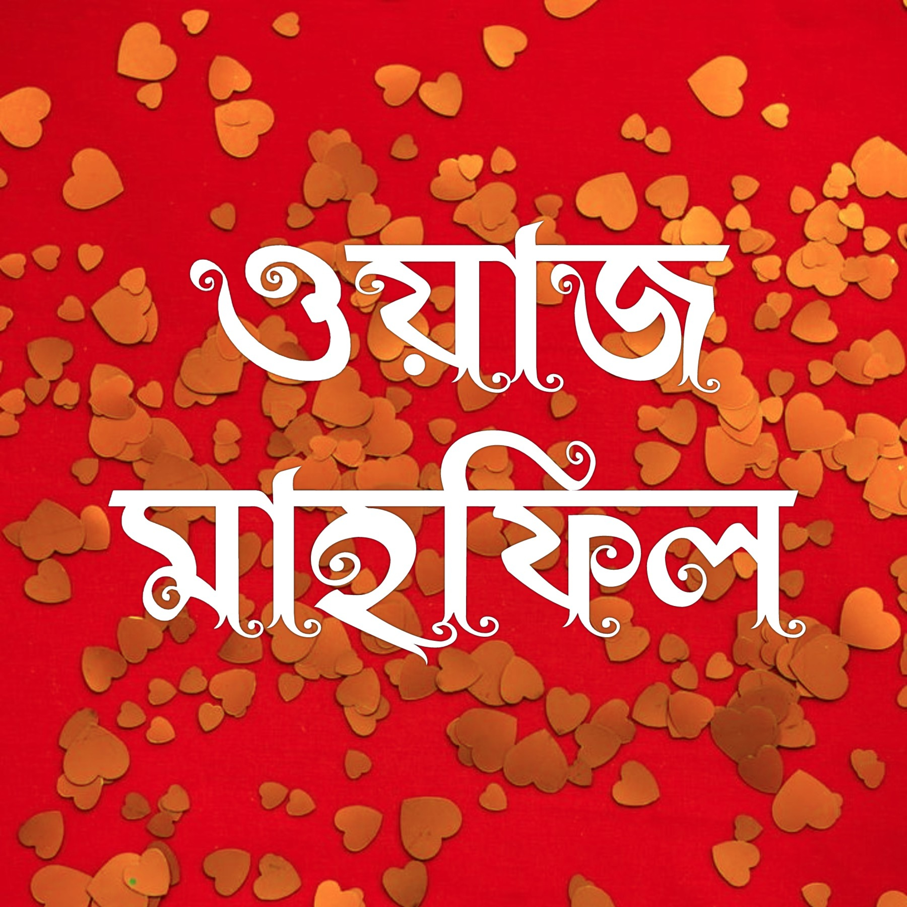 313.ভোলা (০১.০১.২০১২) episode artwork
