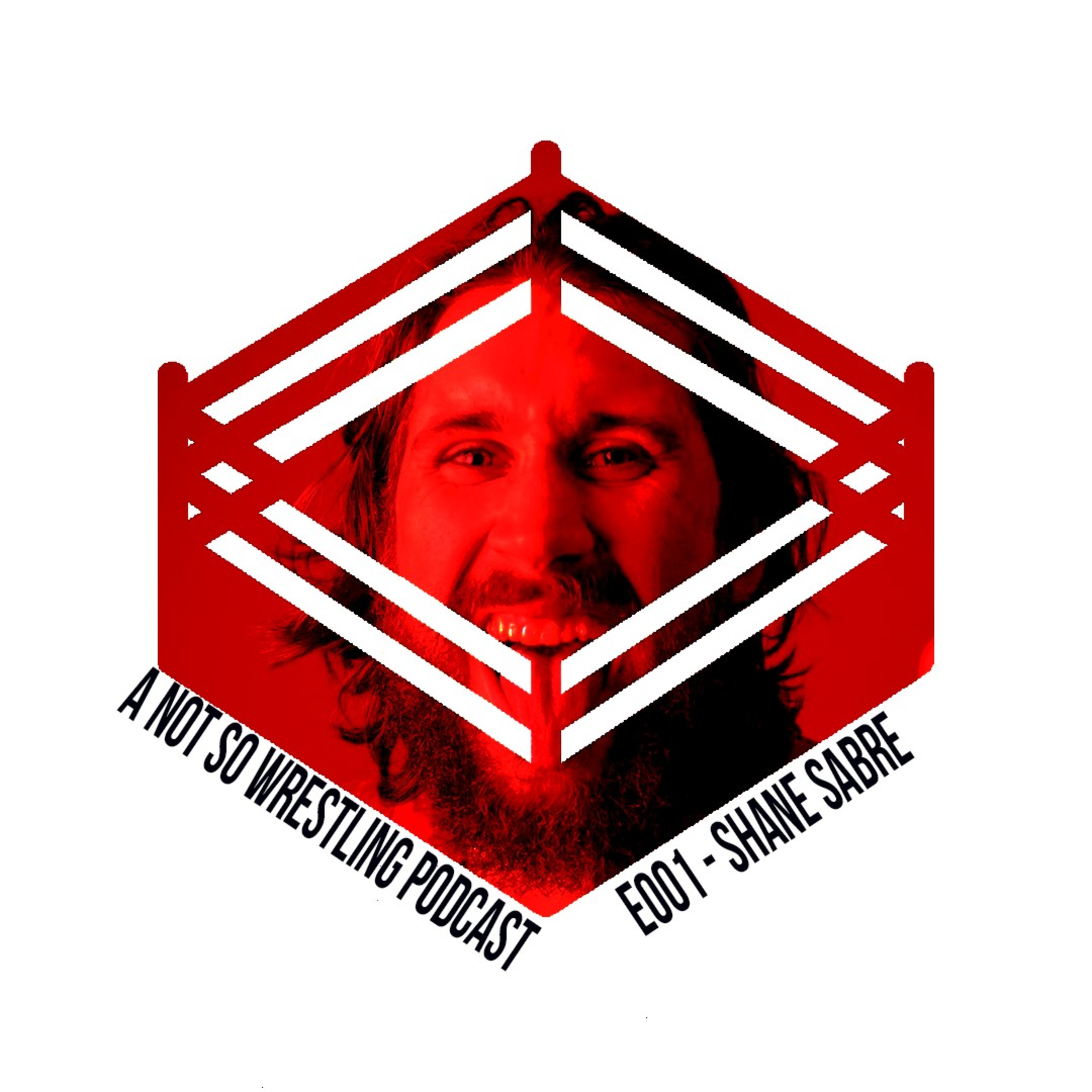 A Not So Wrestling Podcast