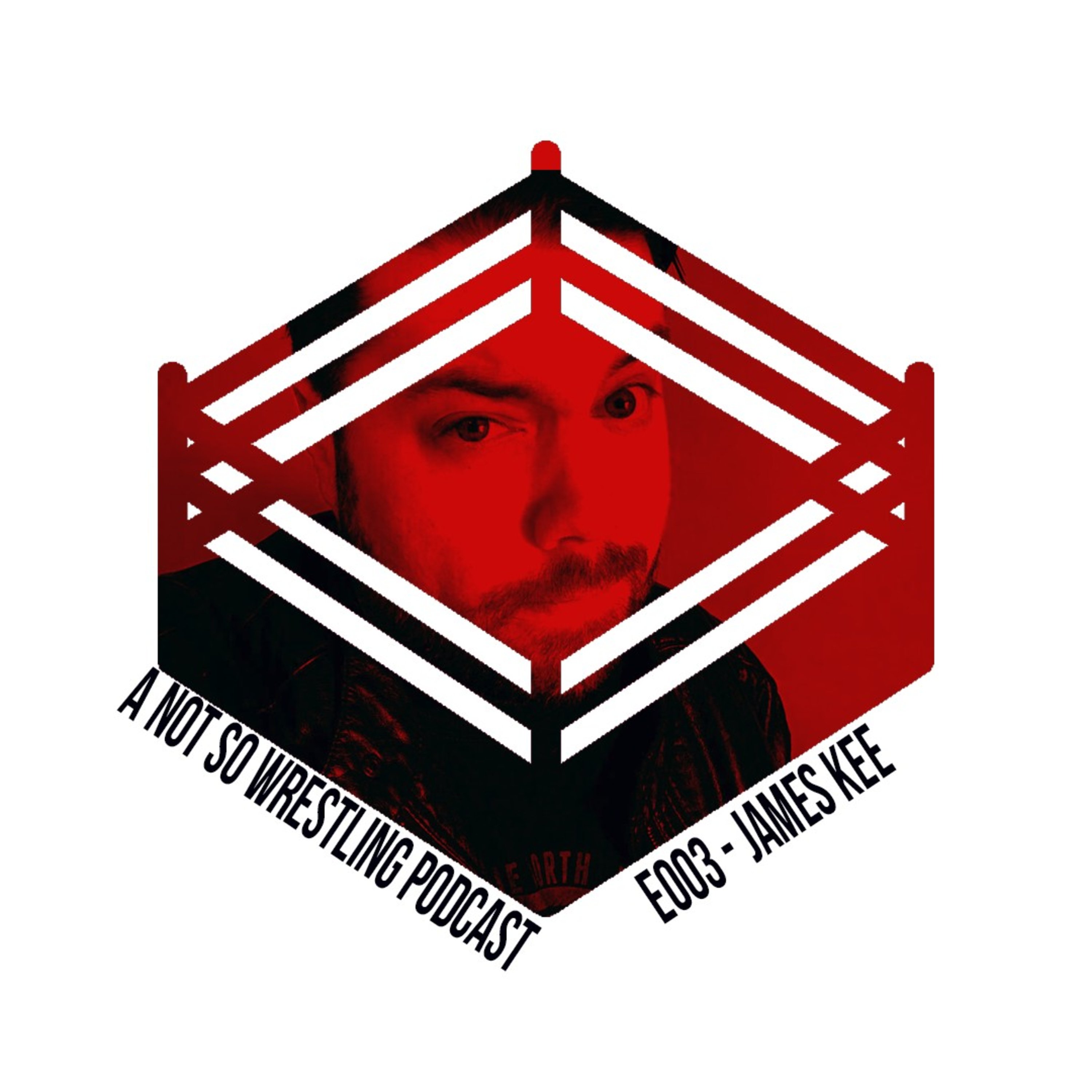 A Not So Wrestling Podcast