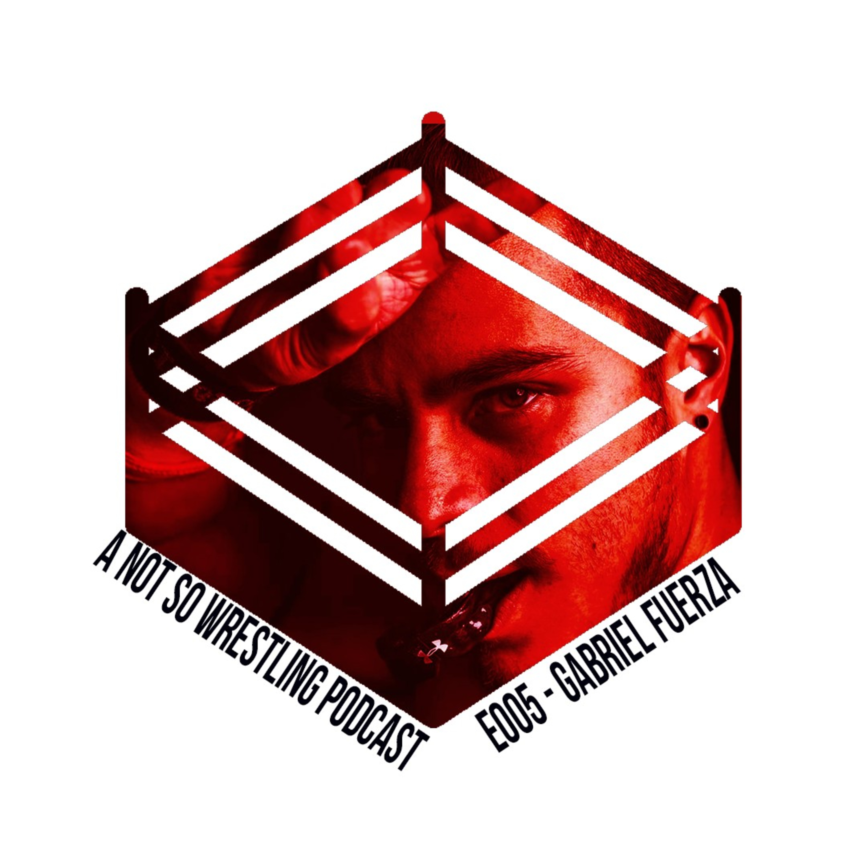 A Not So Wrestling Podcast