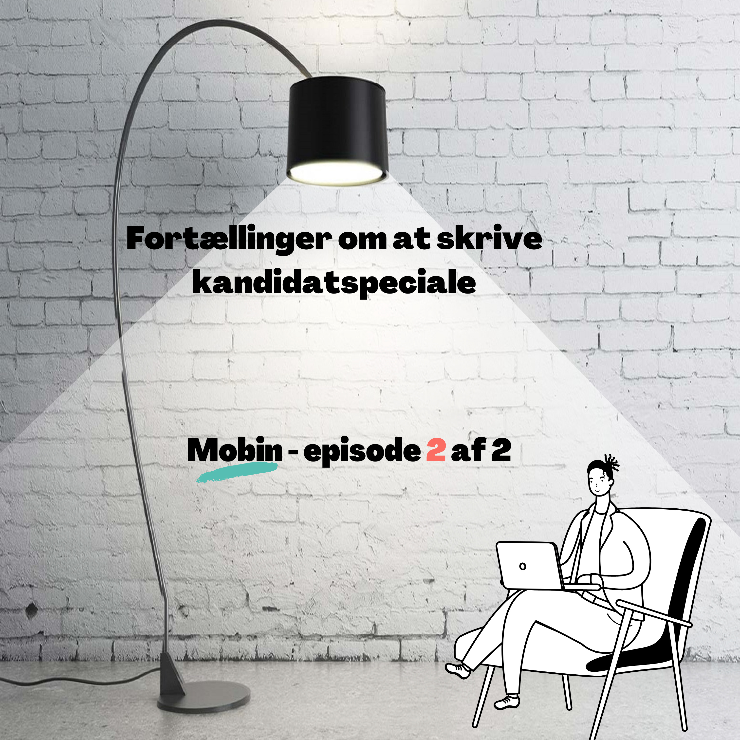 Fortællinger om at skrive kandidatspeciale