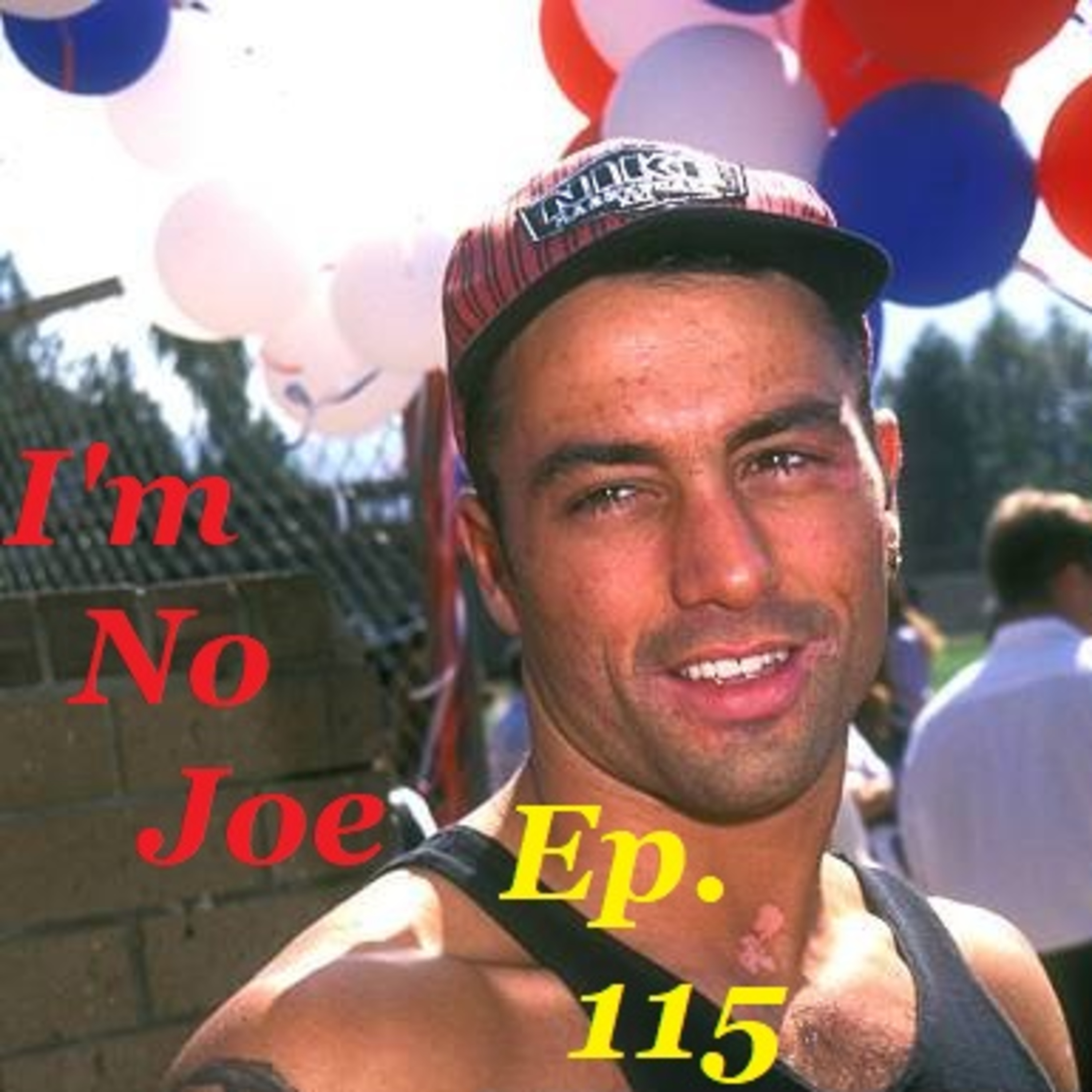 Episode 115 - Let's Catch Up A Bit, Shall We? - #ImNoJoePodcast #S4E19 episode artwork