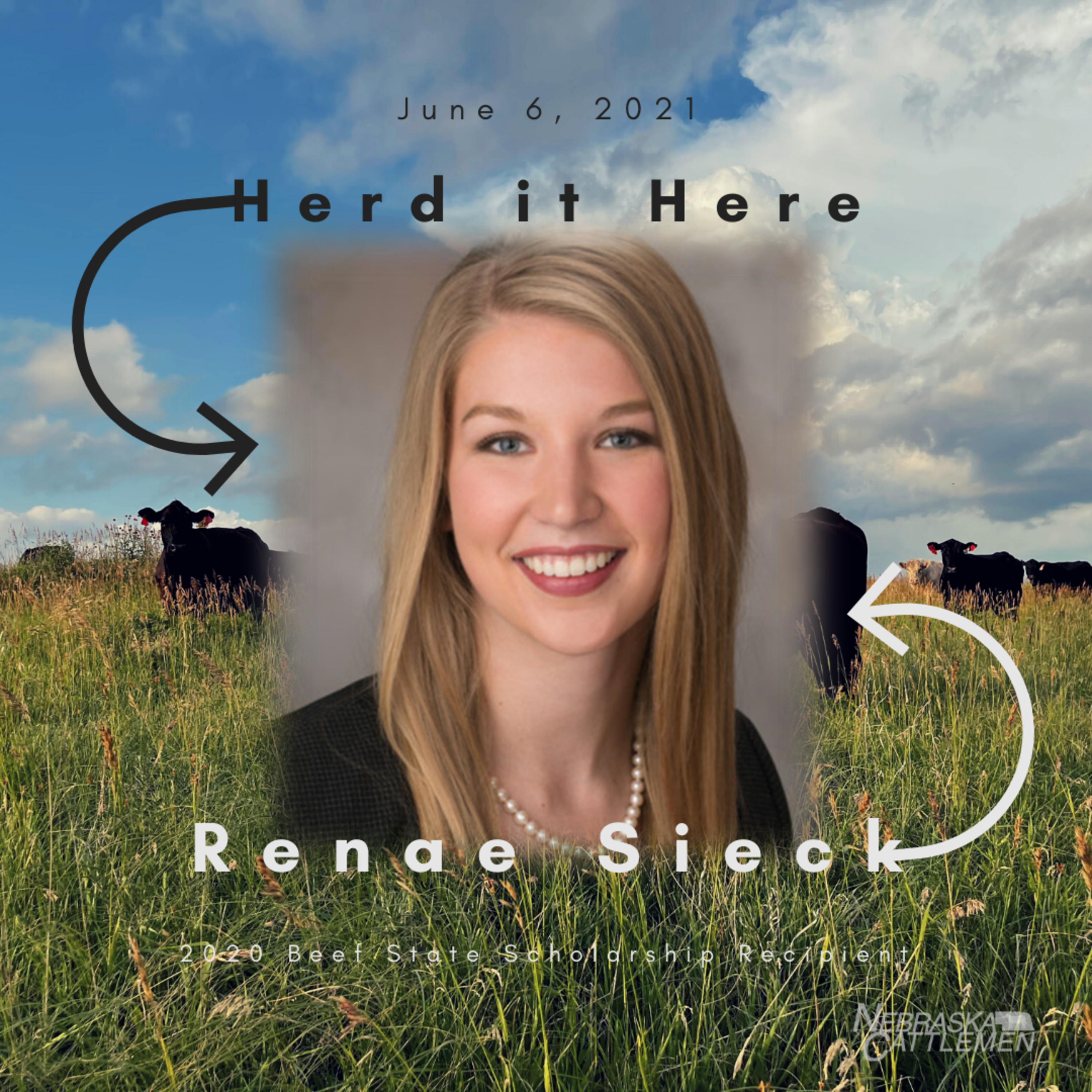 Renae Sieck: Identifying the Root of Inherited Cattle Birth Defects 