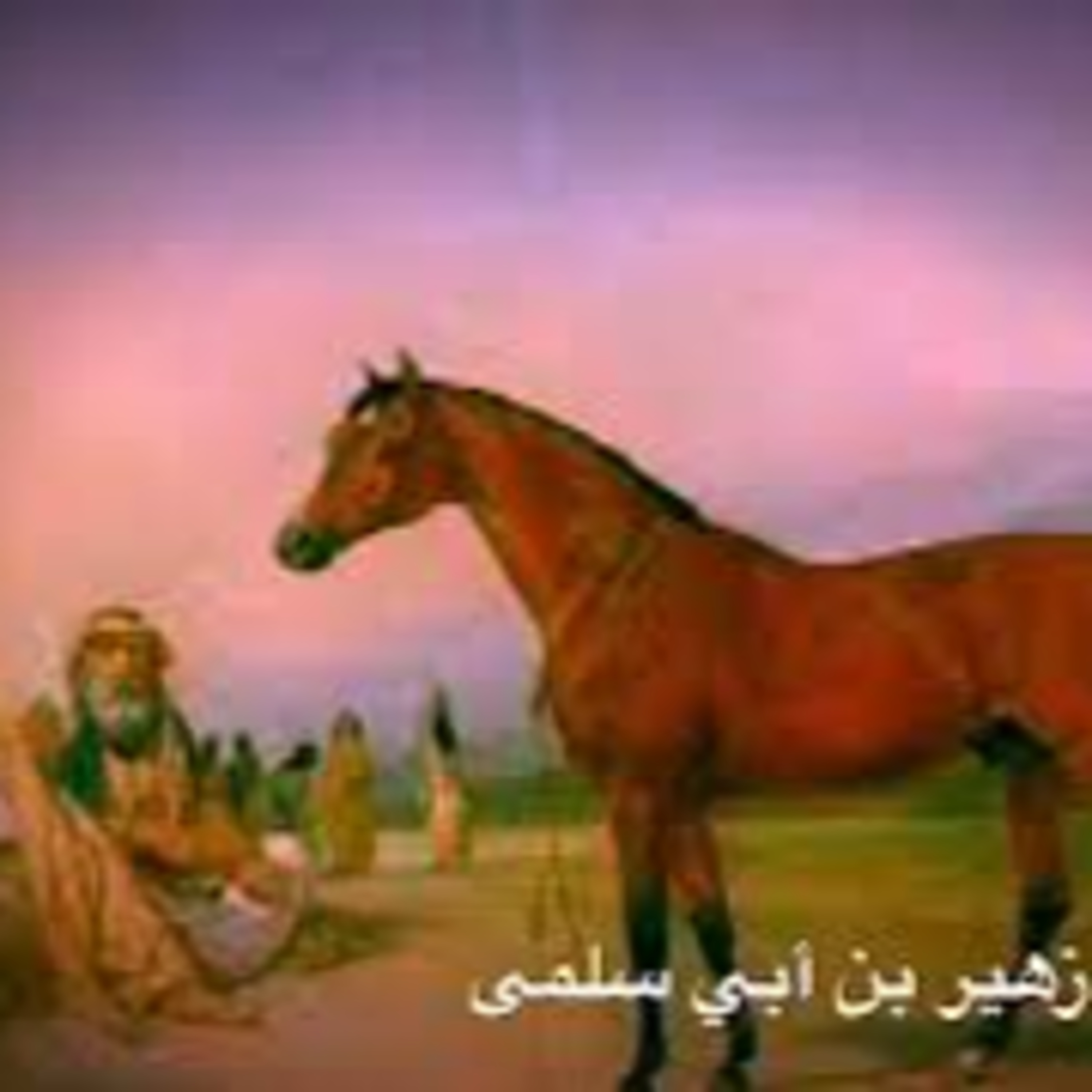 الملمات الكبار | زهير بن أبي سلمى episode artwork