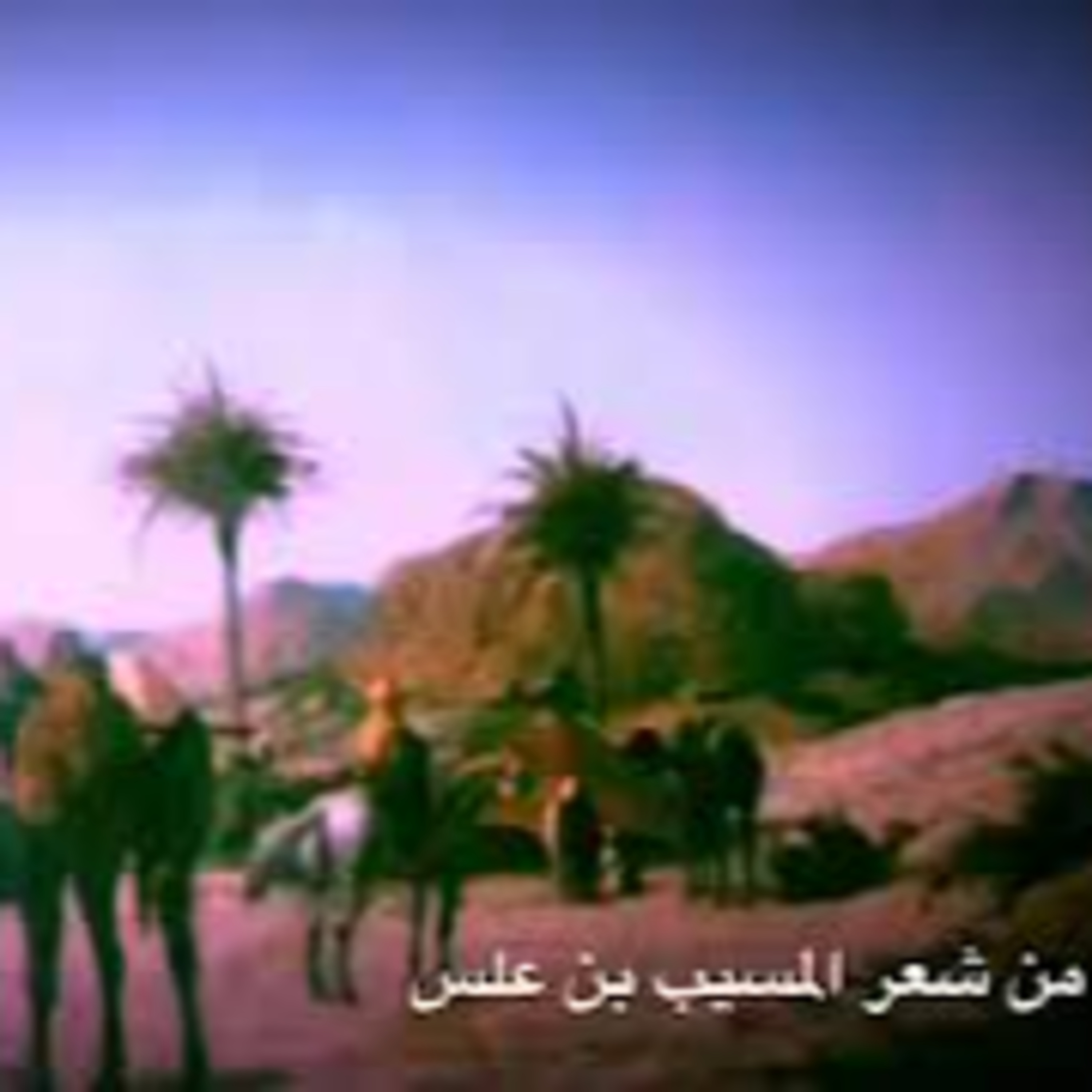 القصيدة الغريبة | المسيب بن علس episode artwork