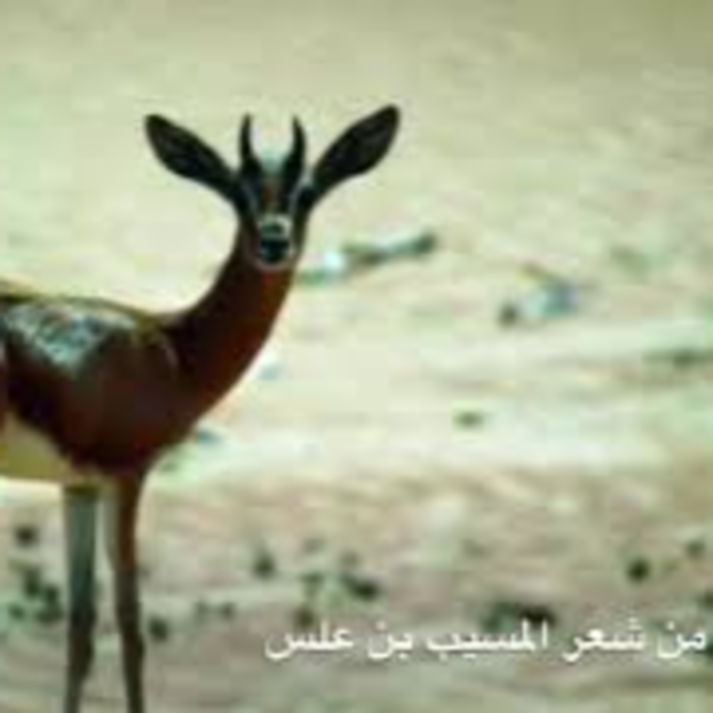 الجمانة | المسيب بن علس episode artwork