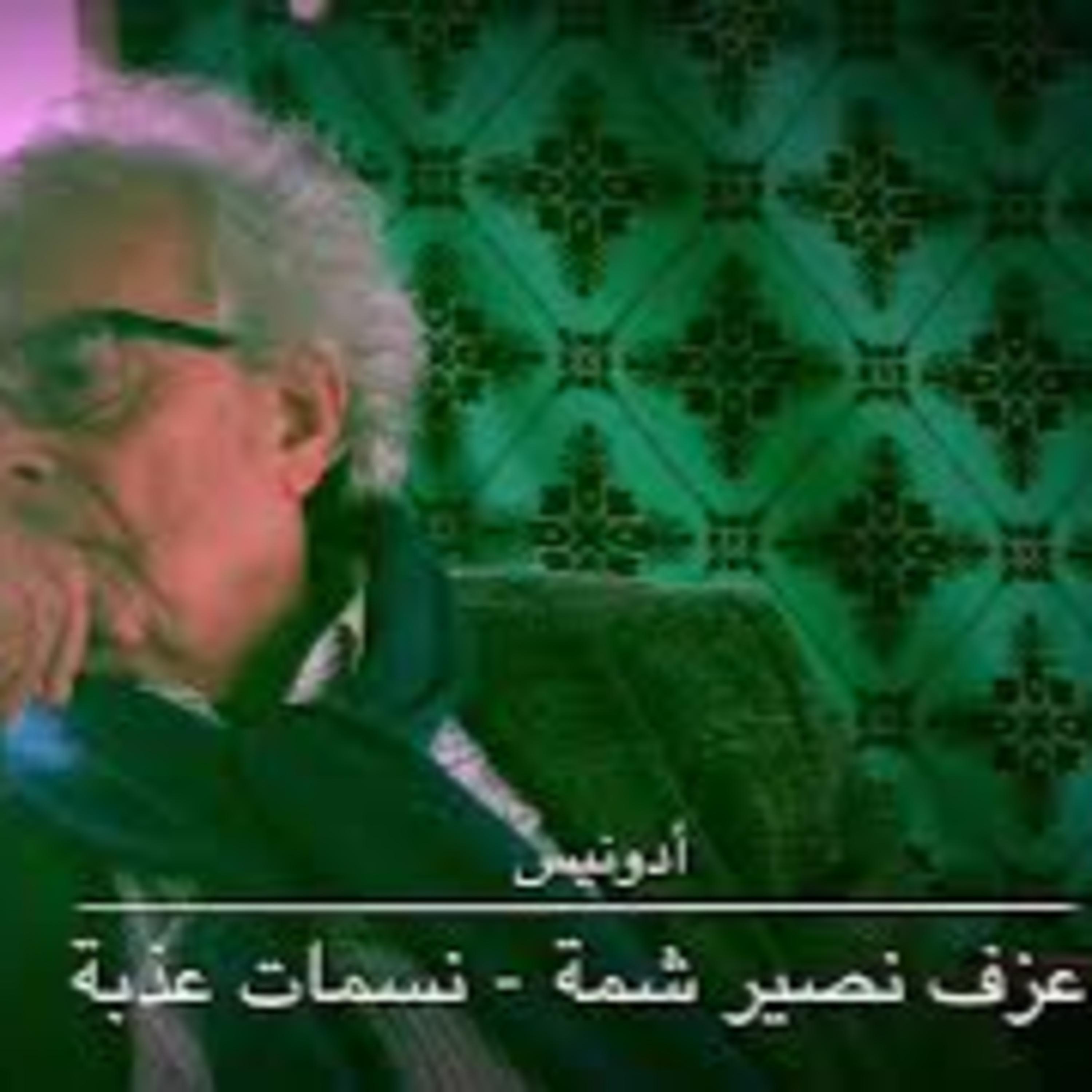احتفالية تسعين أدونيس