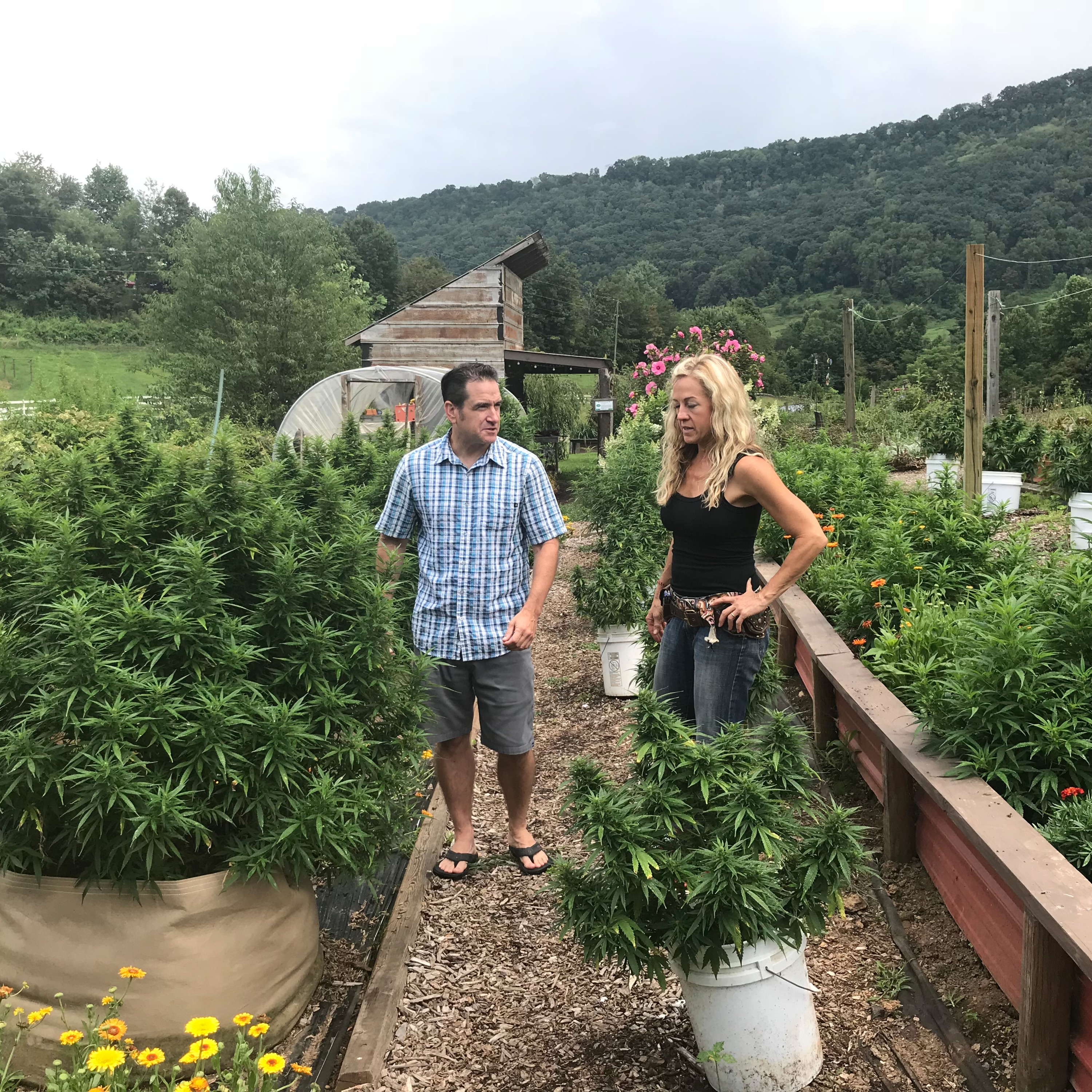 Experience Asheville