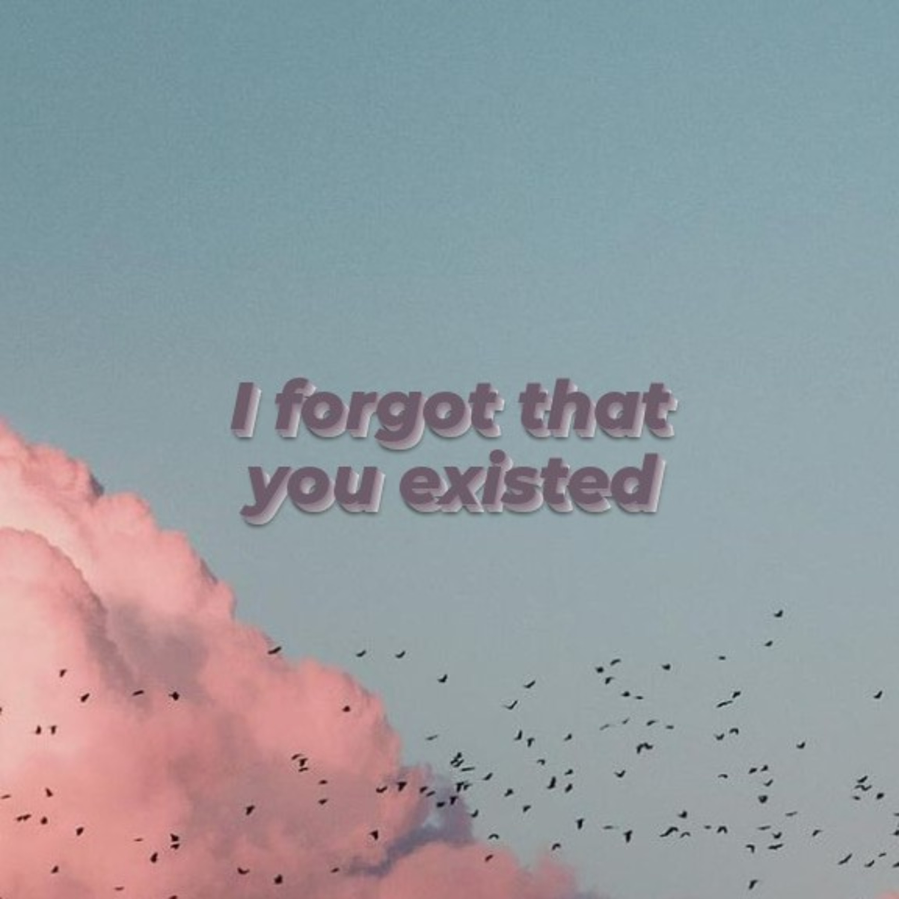 Poetic Koala